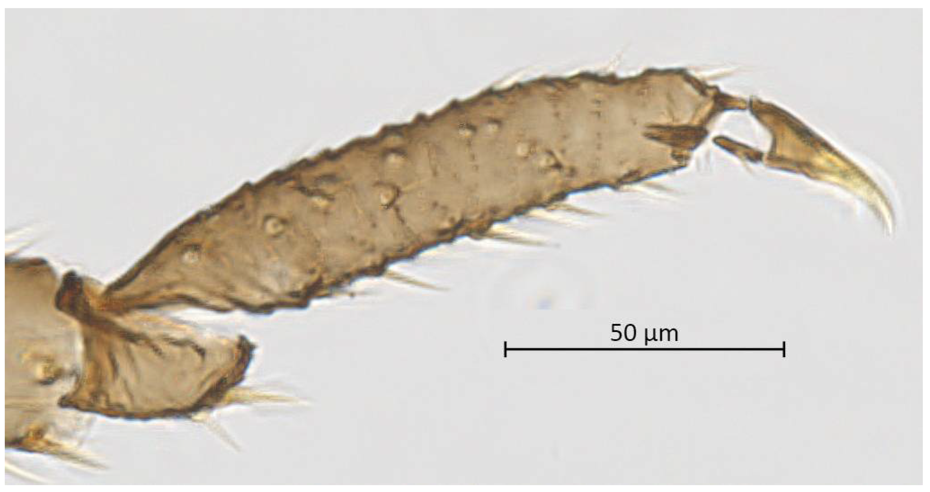 Insects 13 01104 g008