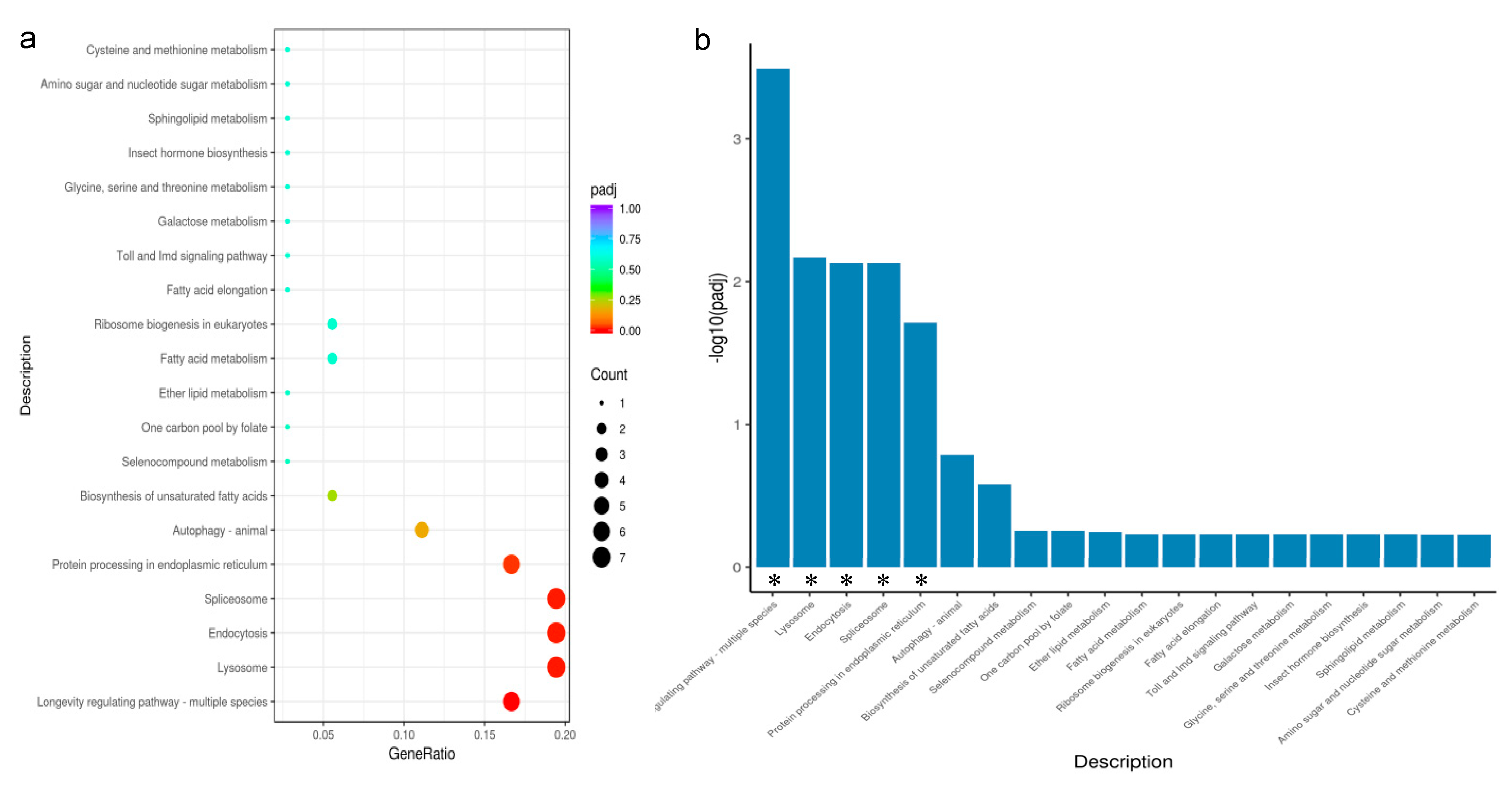 Insects 13 01105 g004