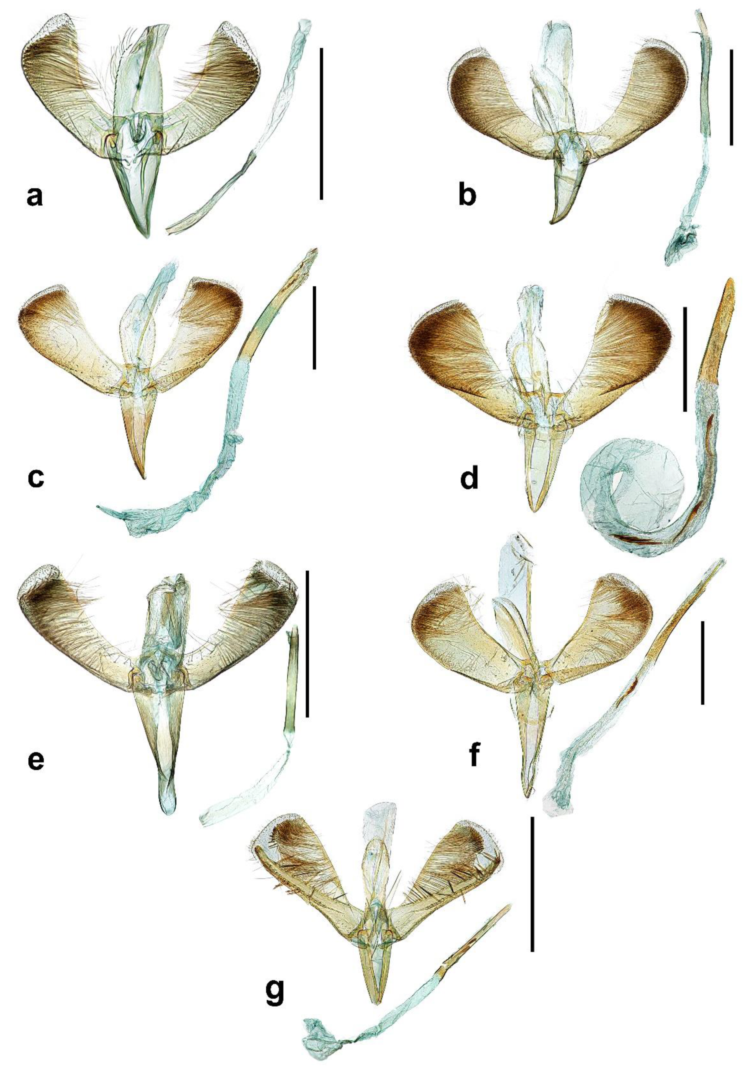 Insects 13 01107 g002