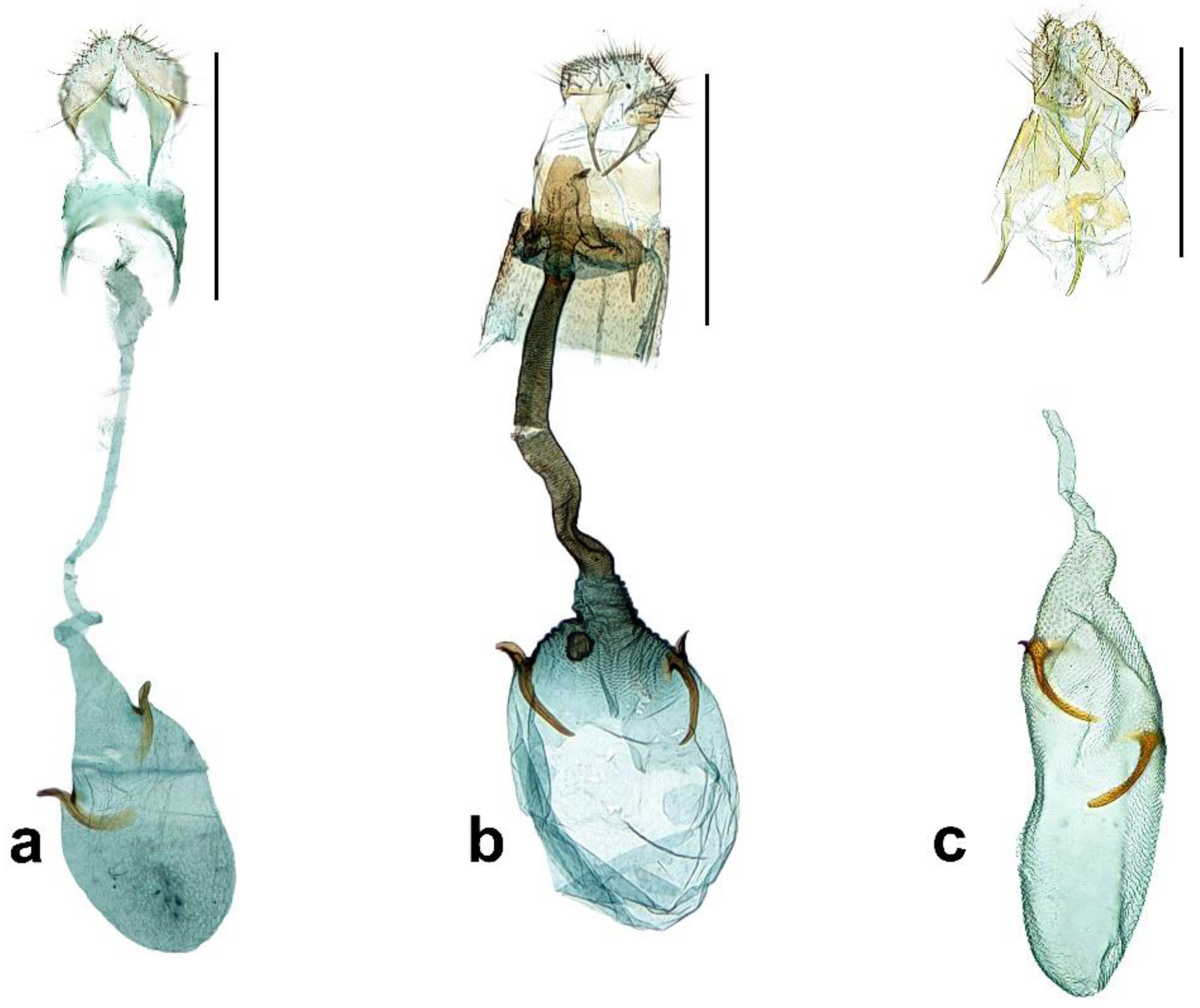 Insects 13 01107 g003