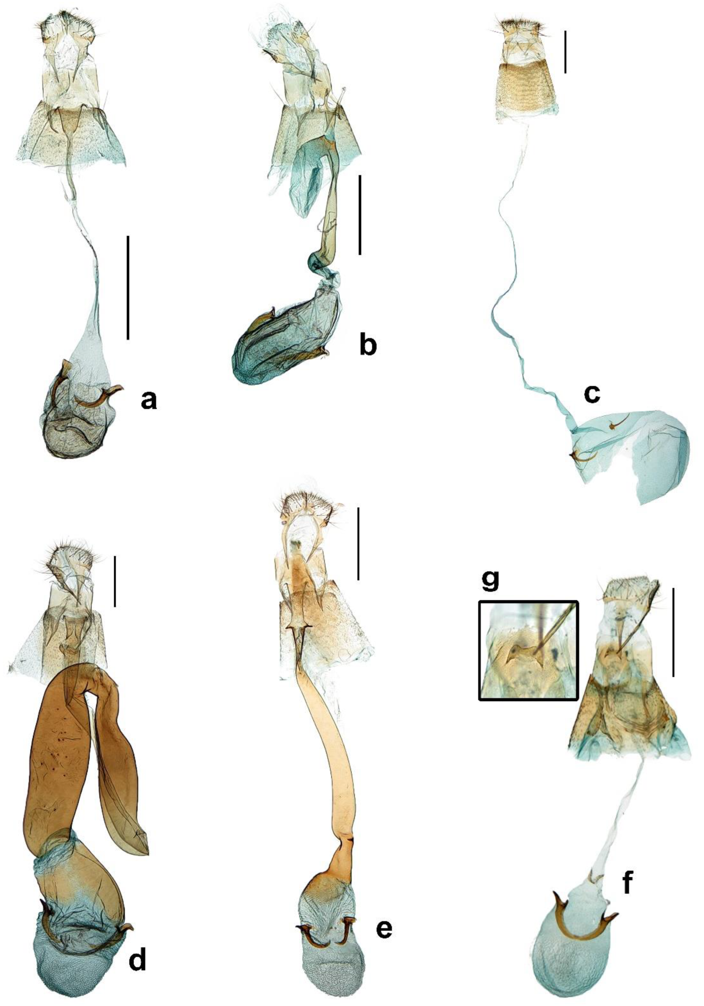 Insects 13 01107 g005