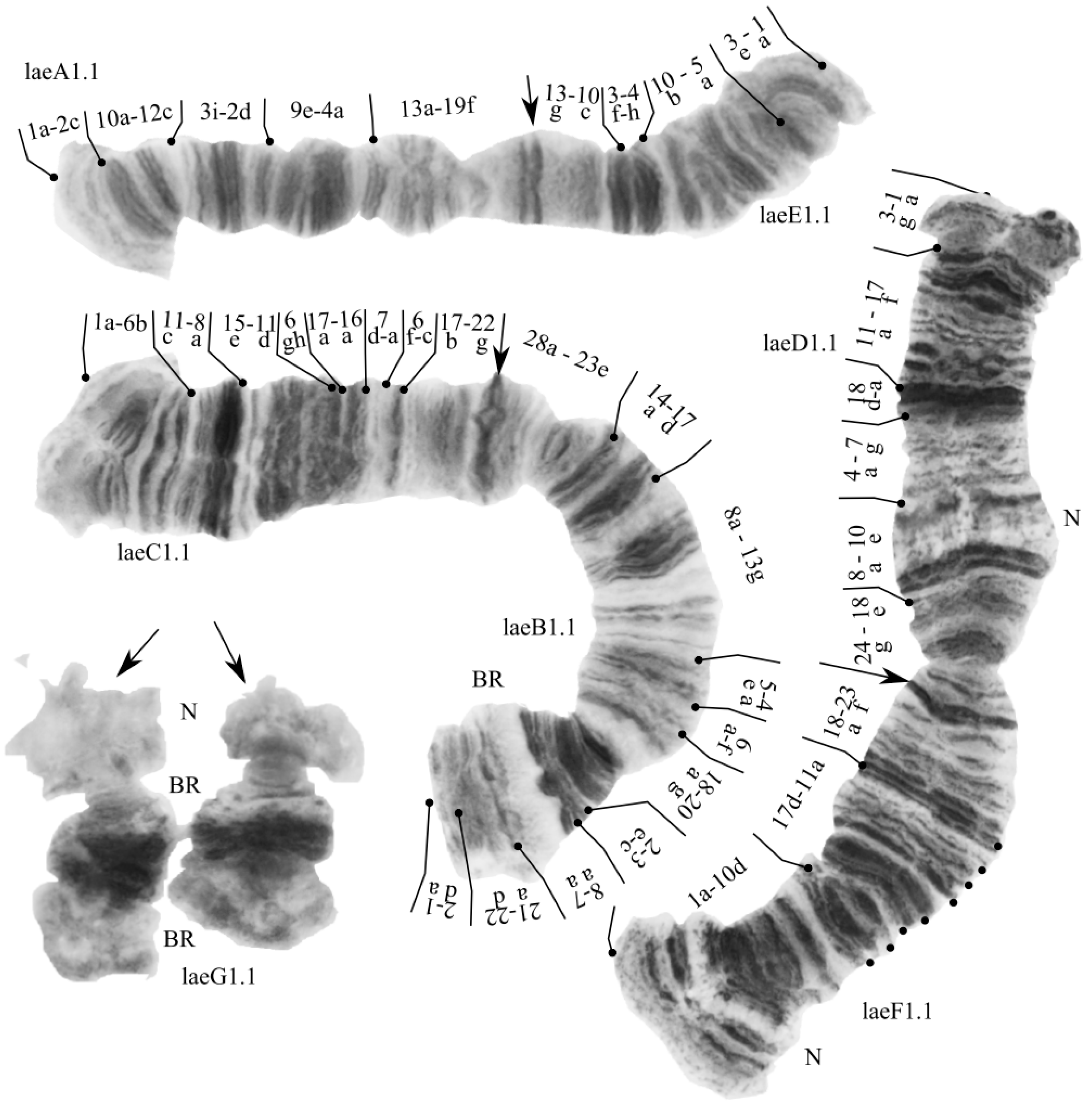 Insects 13 01112 g004 Insects 13 01112 g004