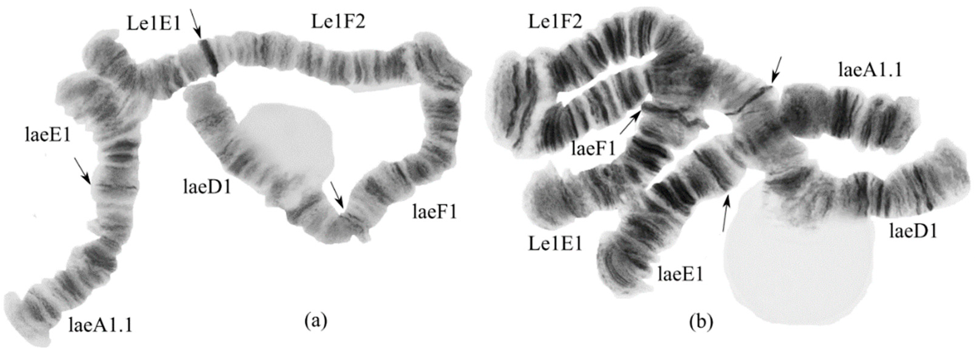 Insects 13 01112 g005 Insects 13 01112 g005