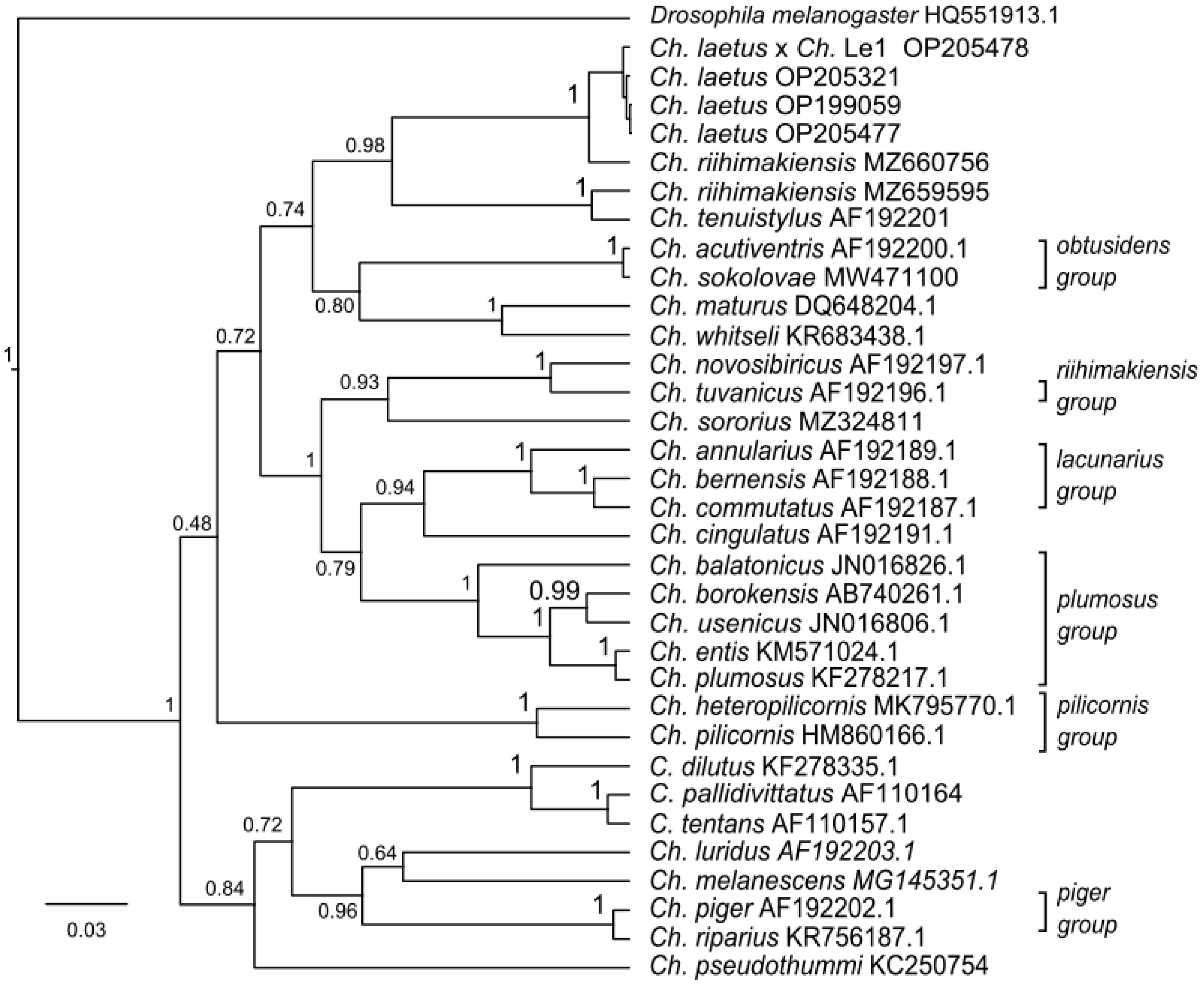 Insects 13 01112 g006 Insects 13 01112 g006