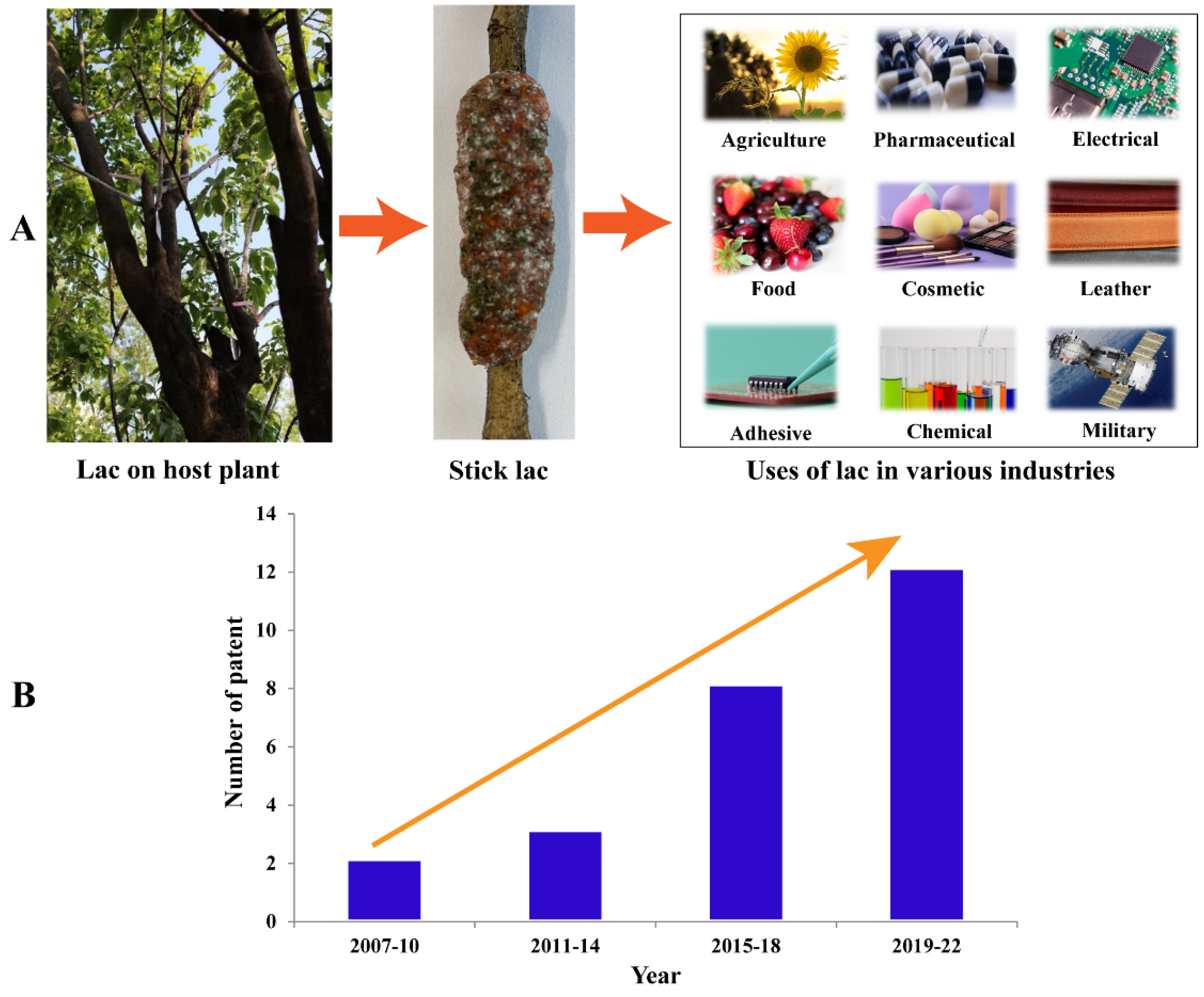 Insects 13 01117 g004