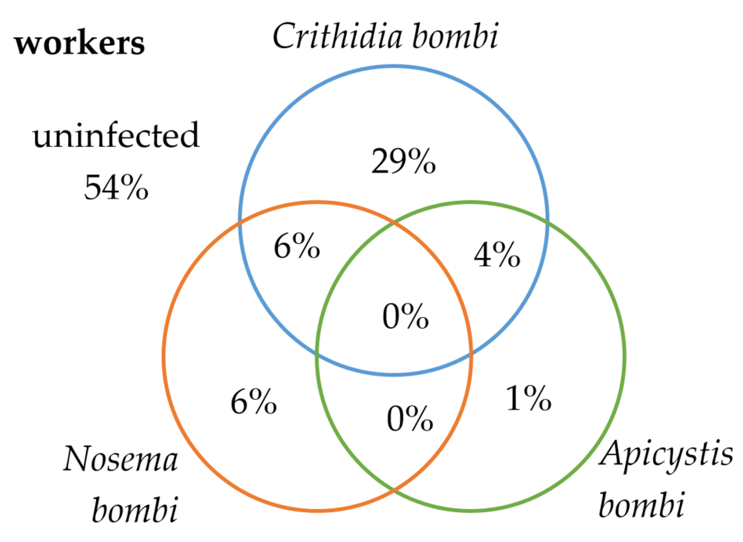 Insects 13 01121 g006 Insects 13 01121 g006