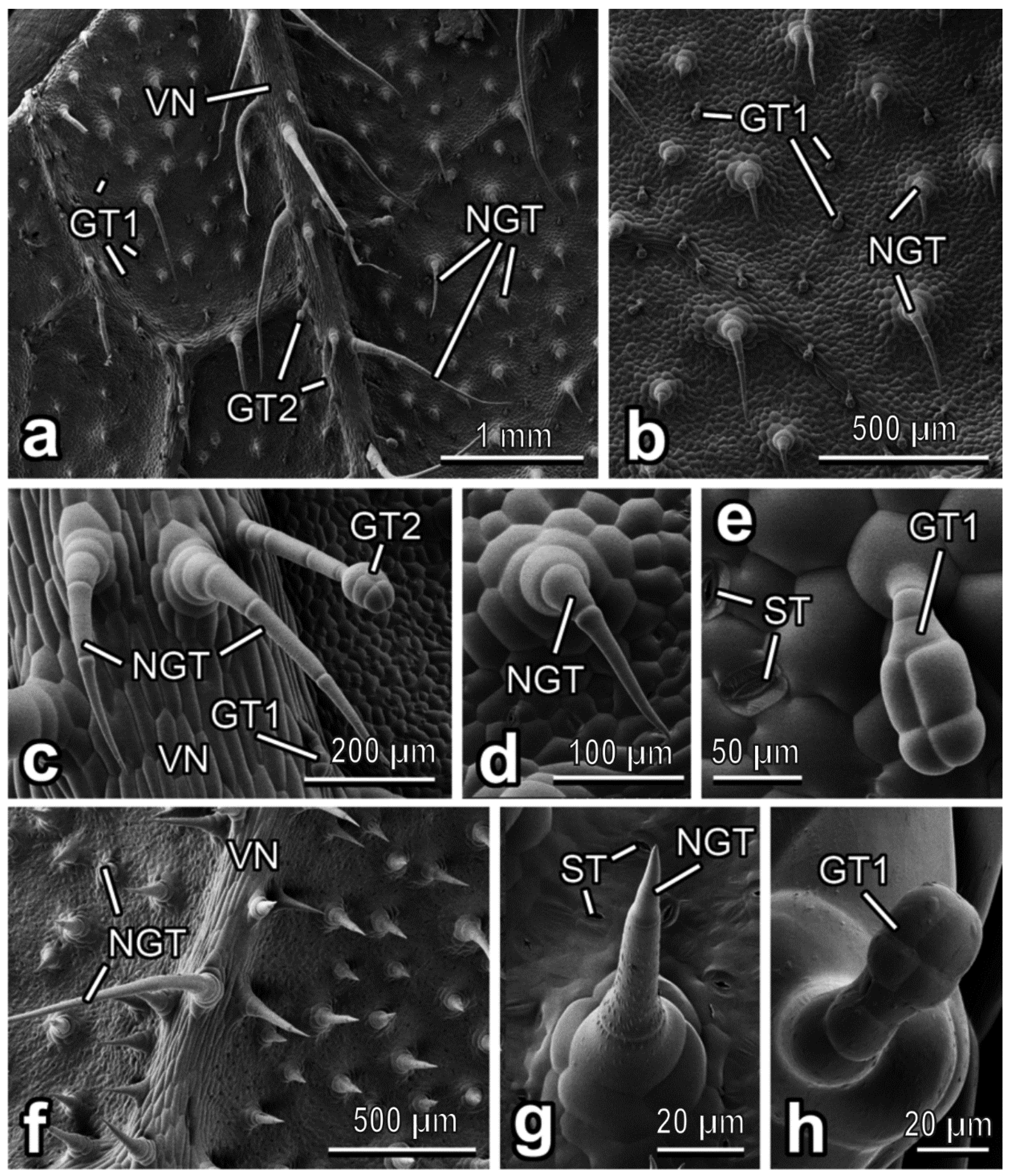 Insects 13 01123 g003 Insects 13 01123 g003