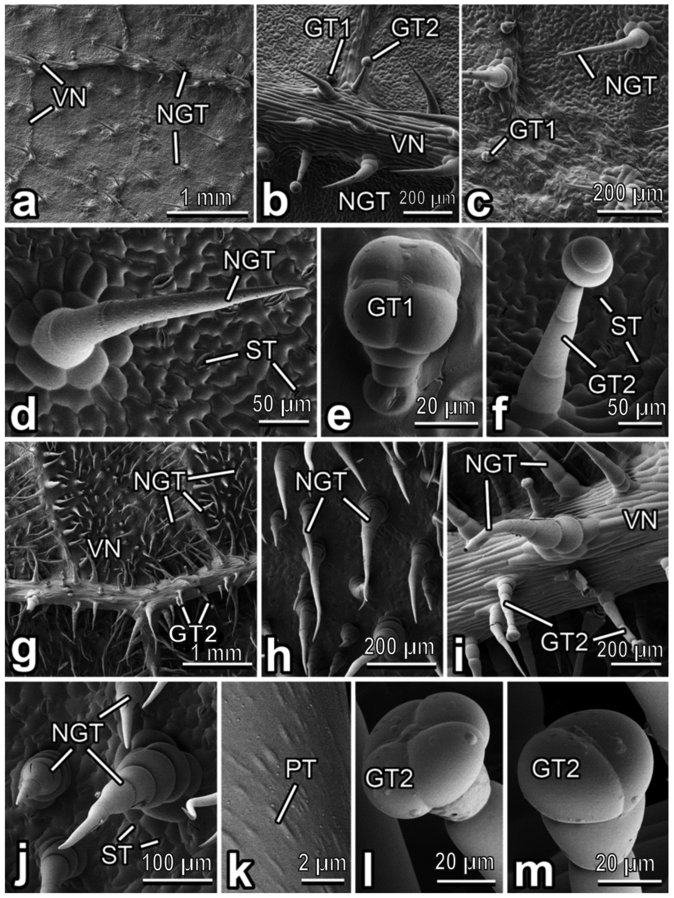 Insects 13 01123 g005 Insects 13 01123 g005