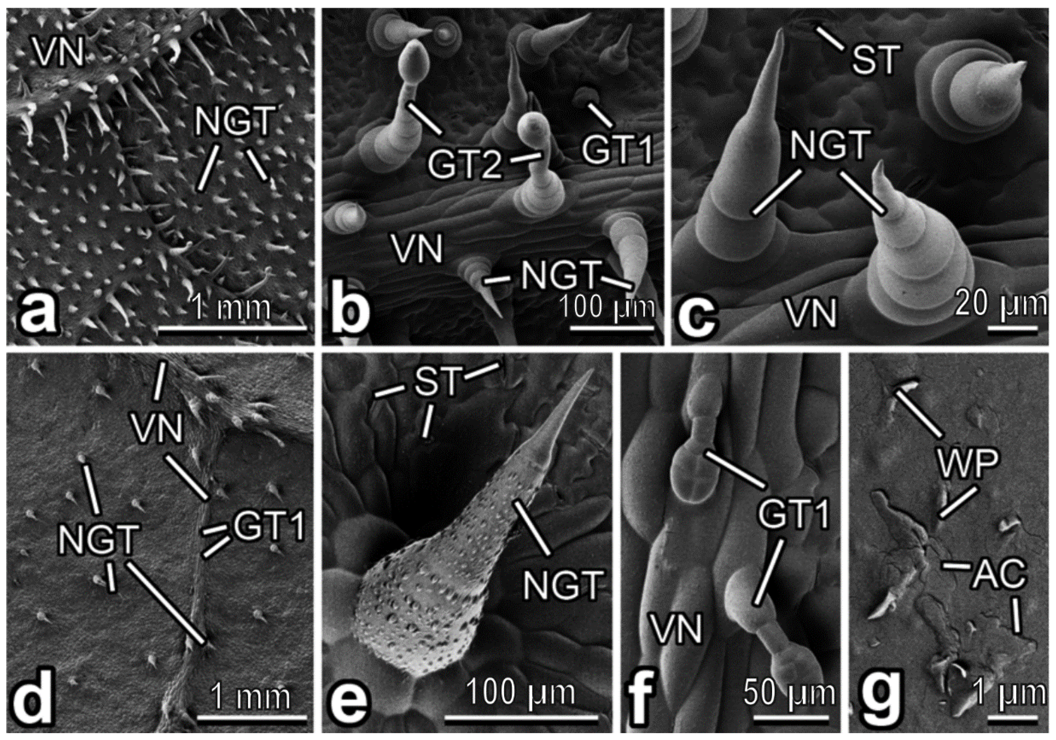 Insects 13 01123 g006 Insects 13 01123 g006