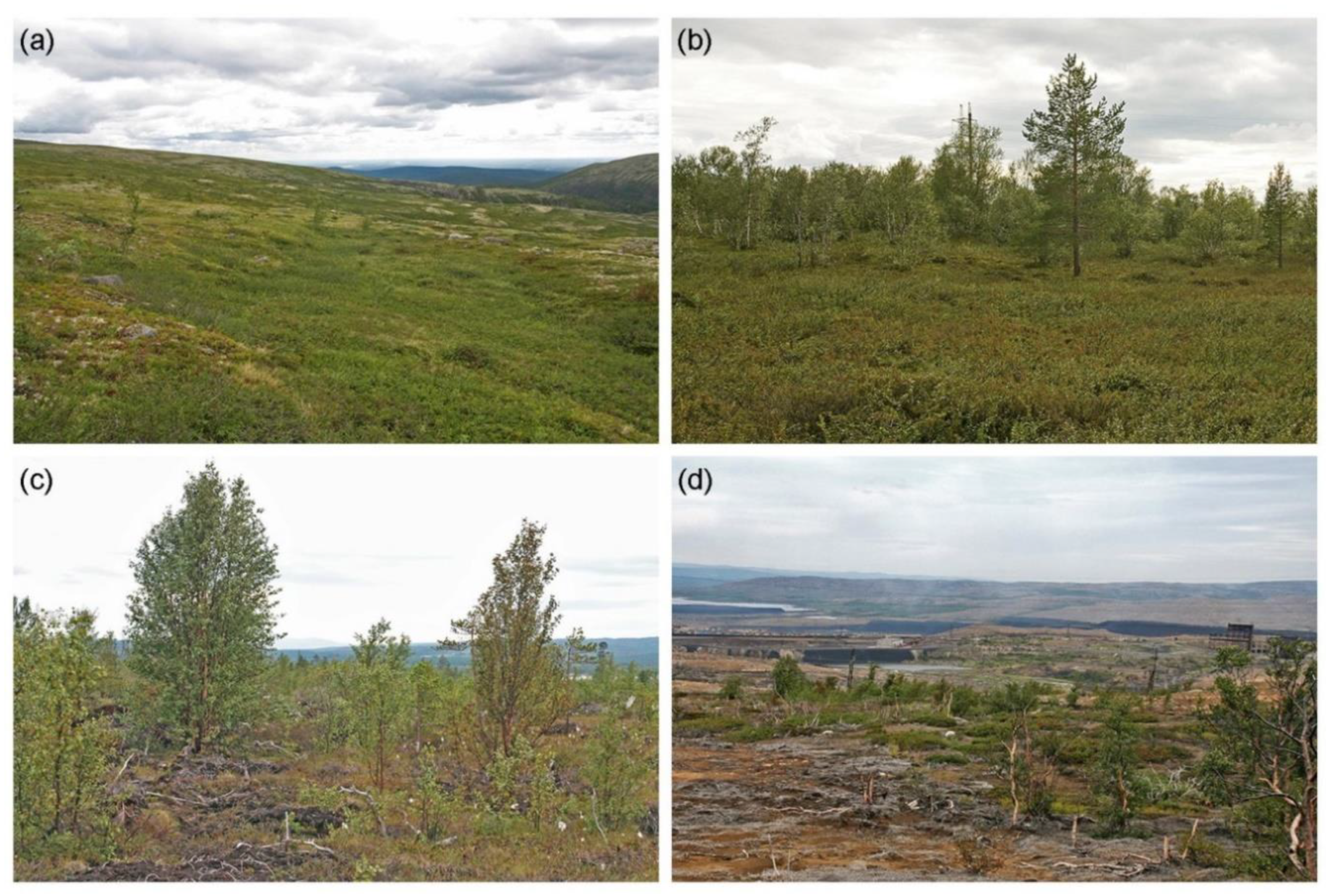 Insects 13 01124 g002 Insects 13 01124 g002