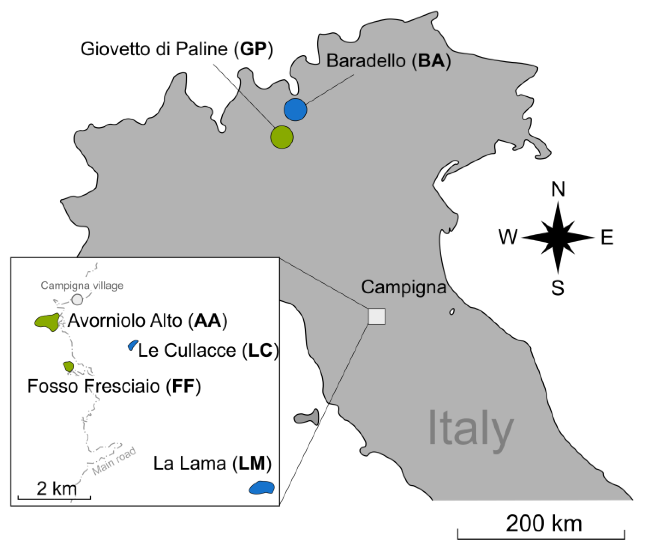 Insects 13 01137 g001