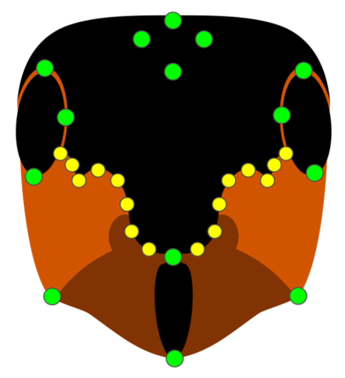 Insects 13 01137 g002