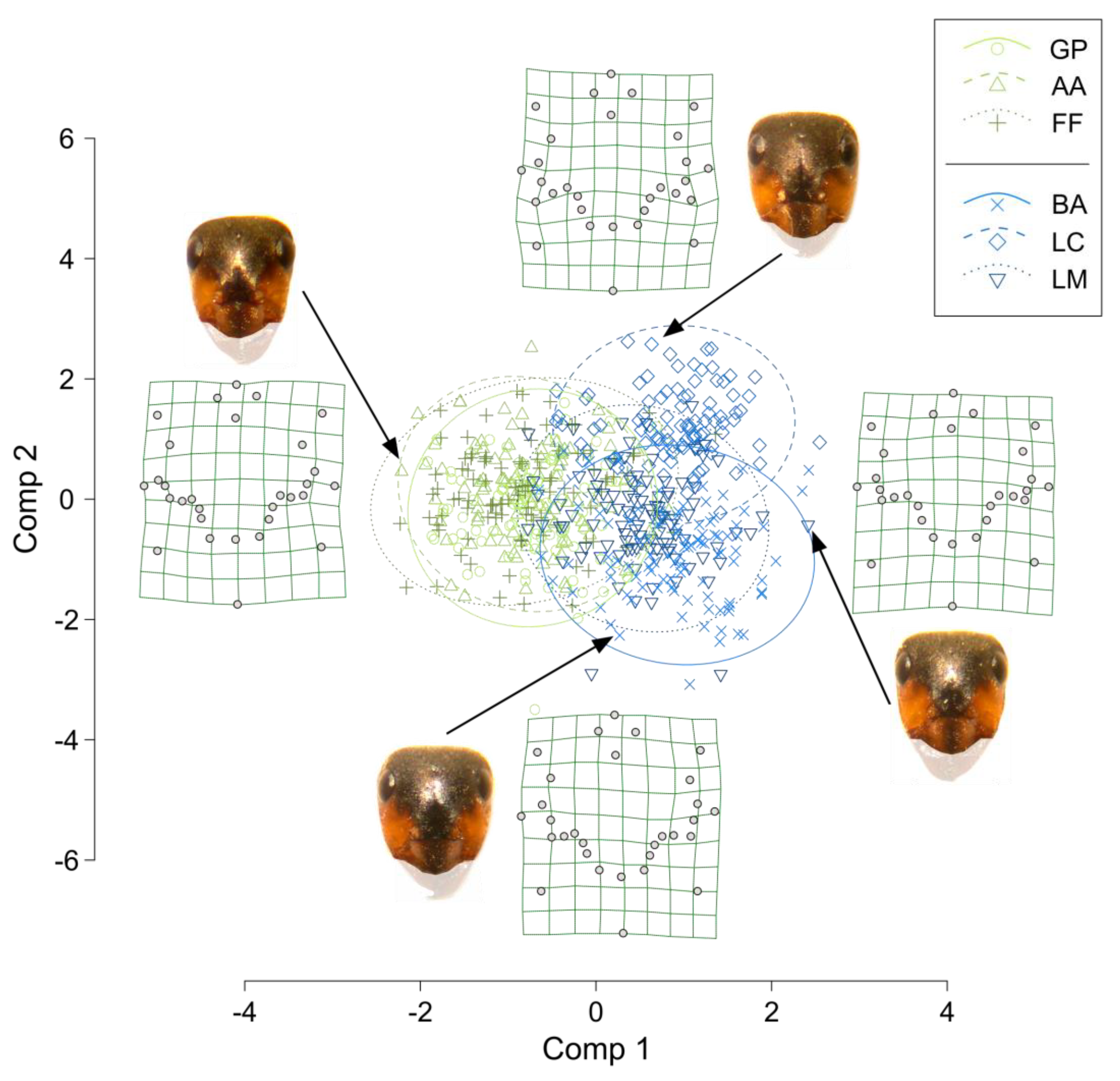 Insects 13 01137 g003