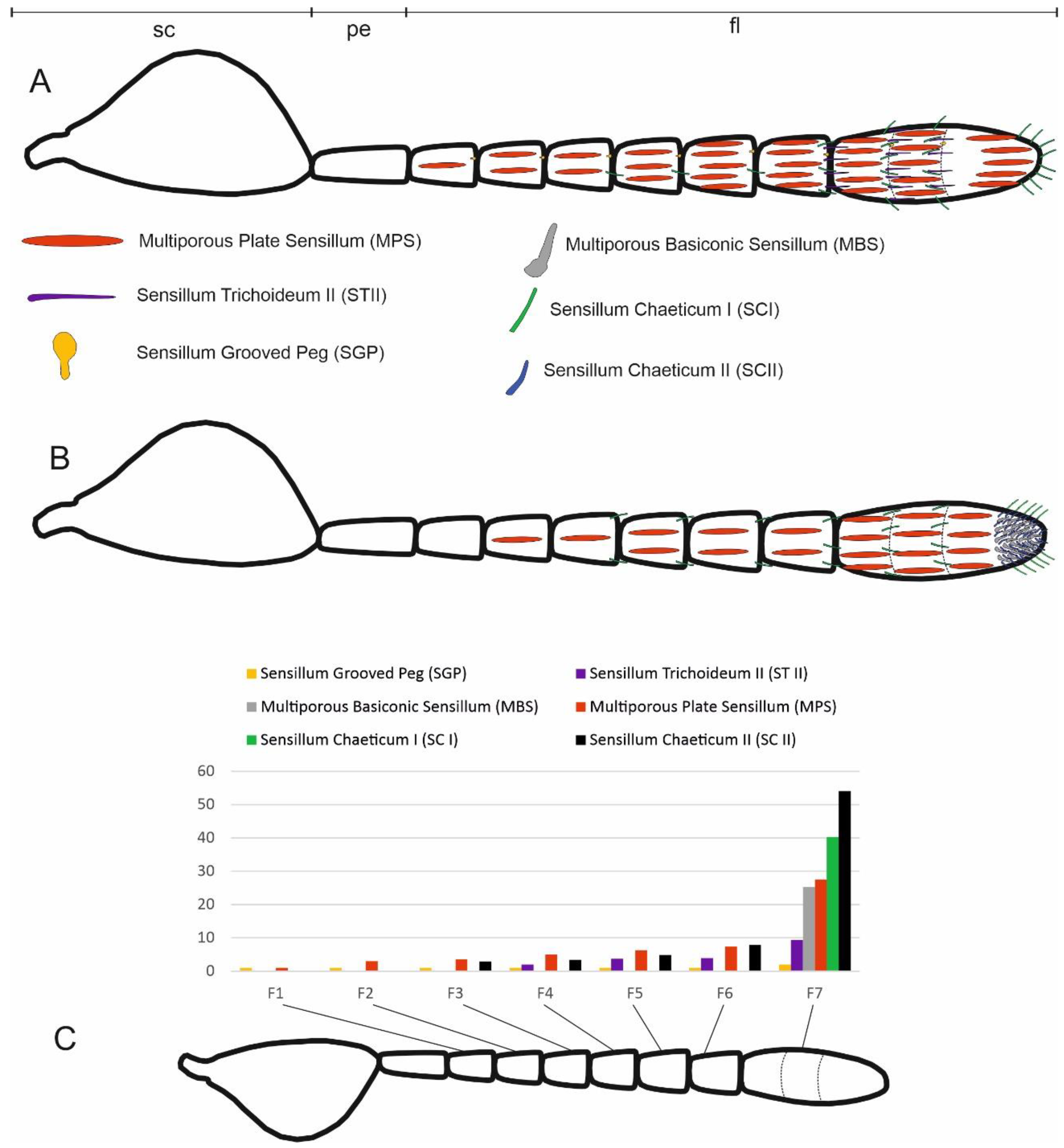 Insects 13 01138 g003