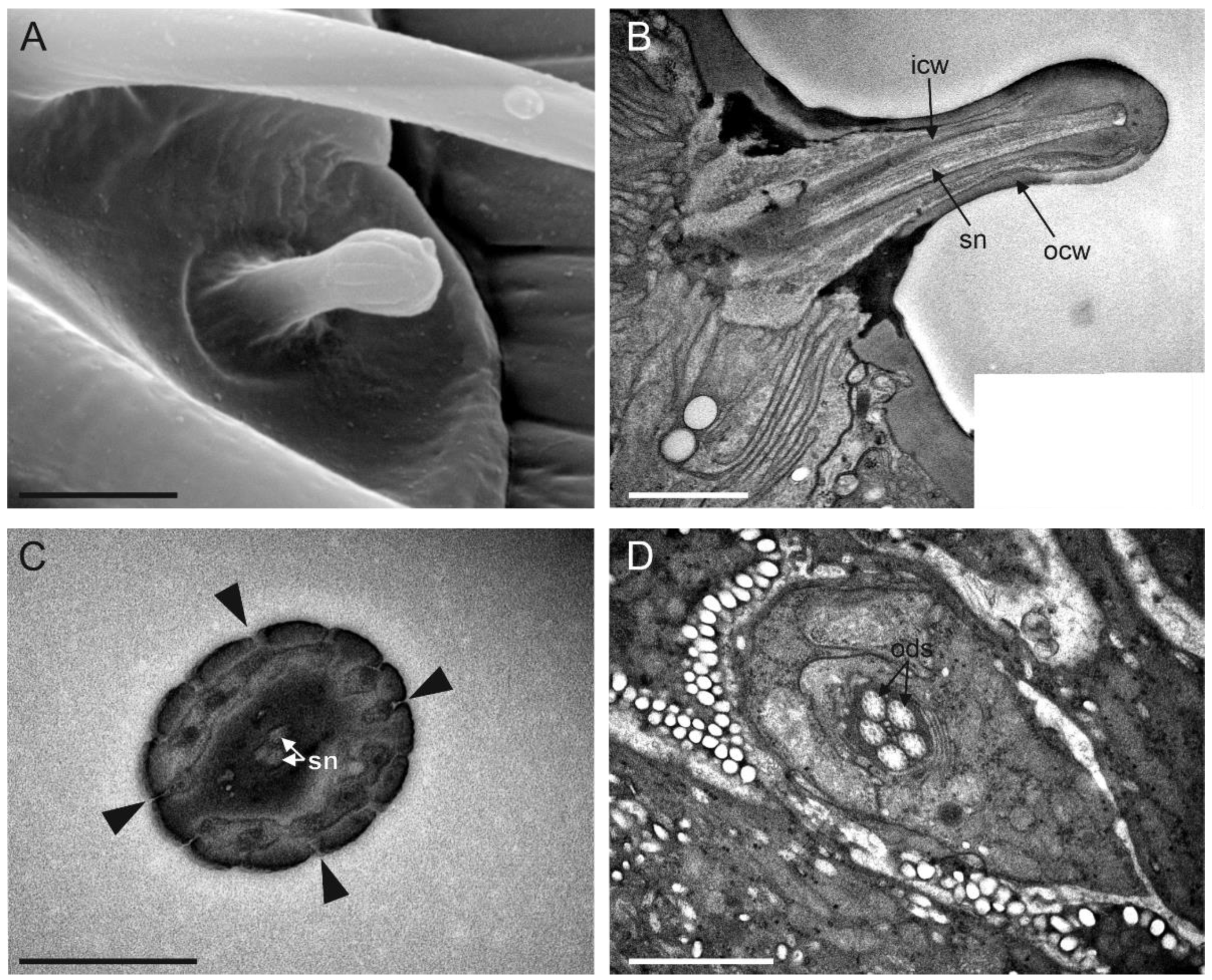 Insects 13 01138 g010