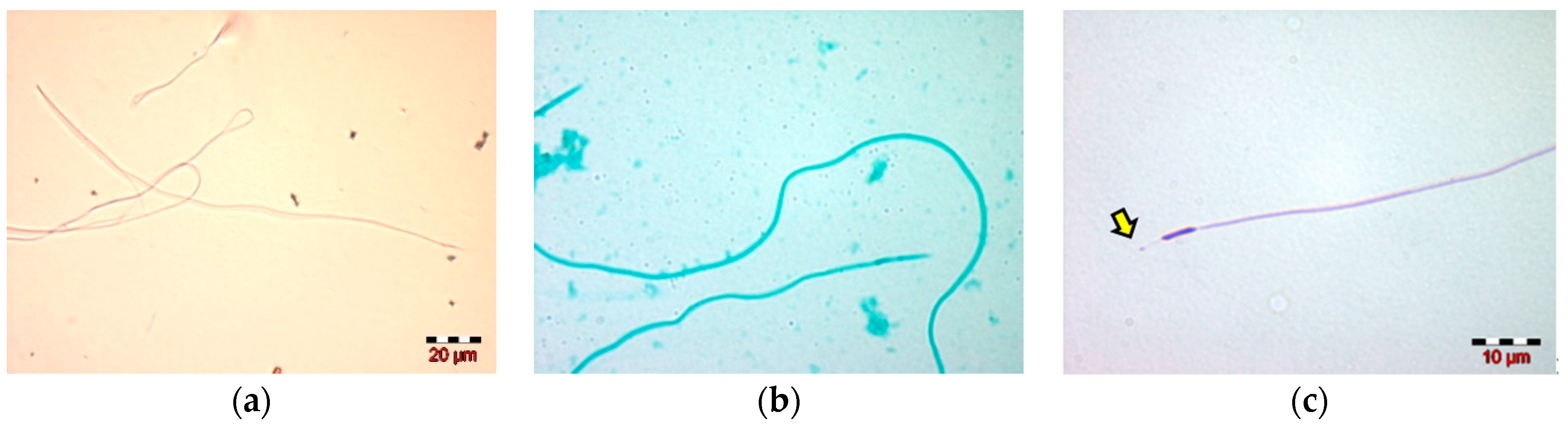 Insects 13 01141 g002