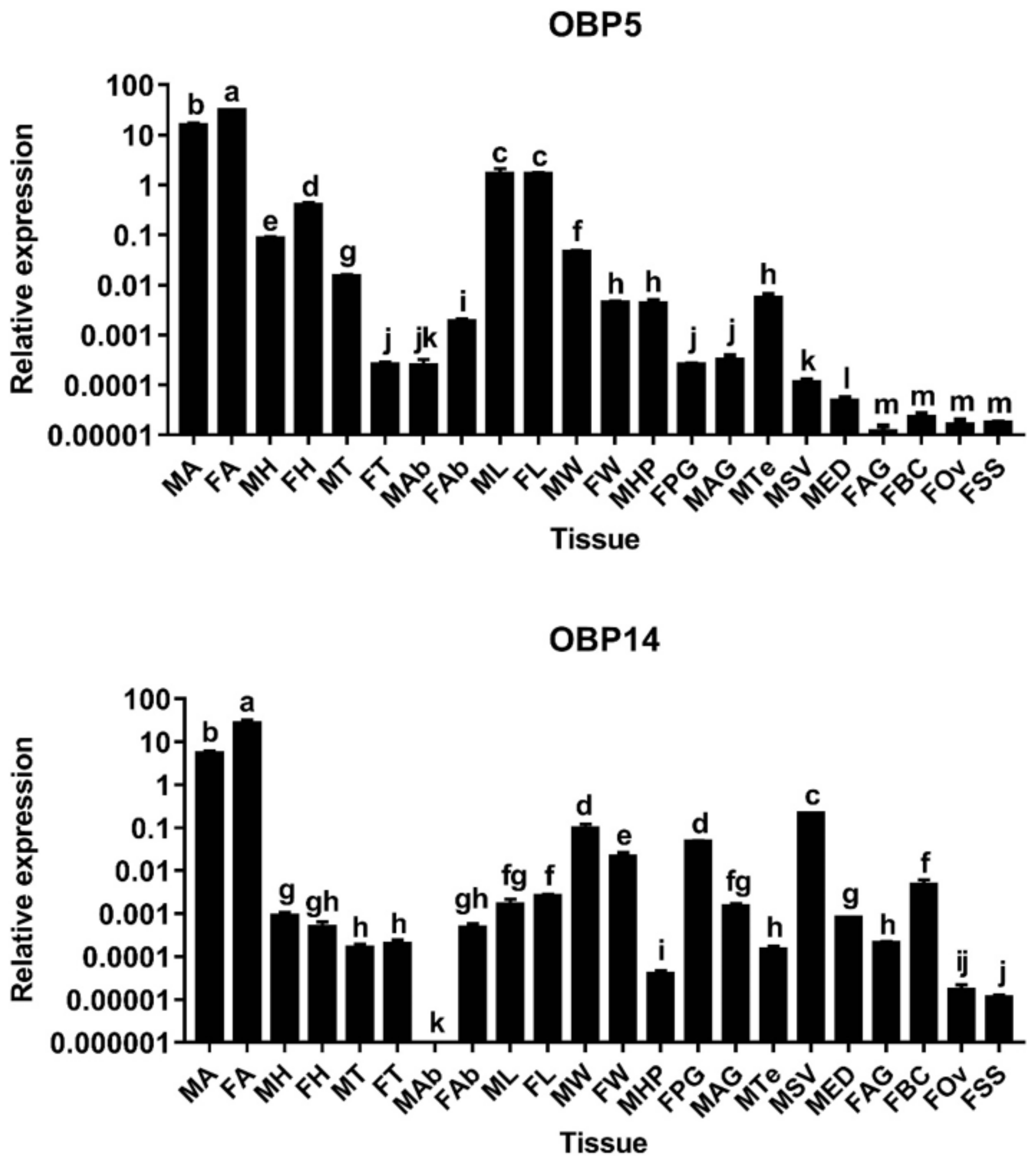 Insects 13 01145 g002
