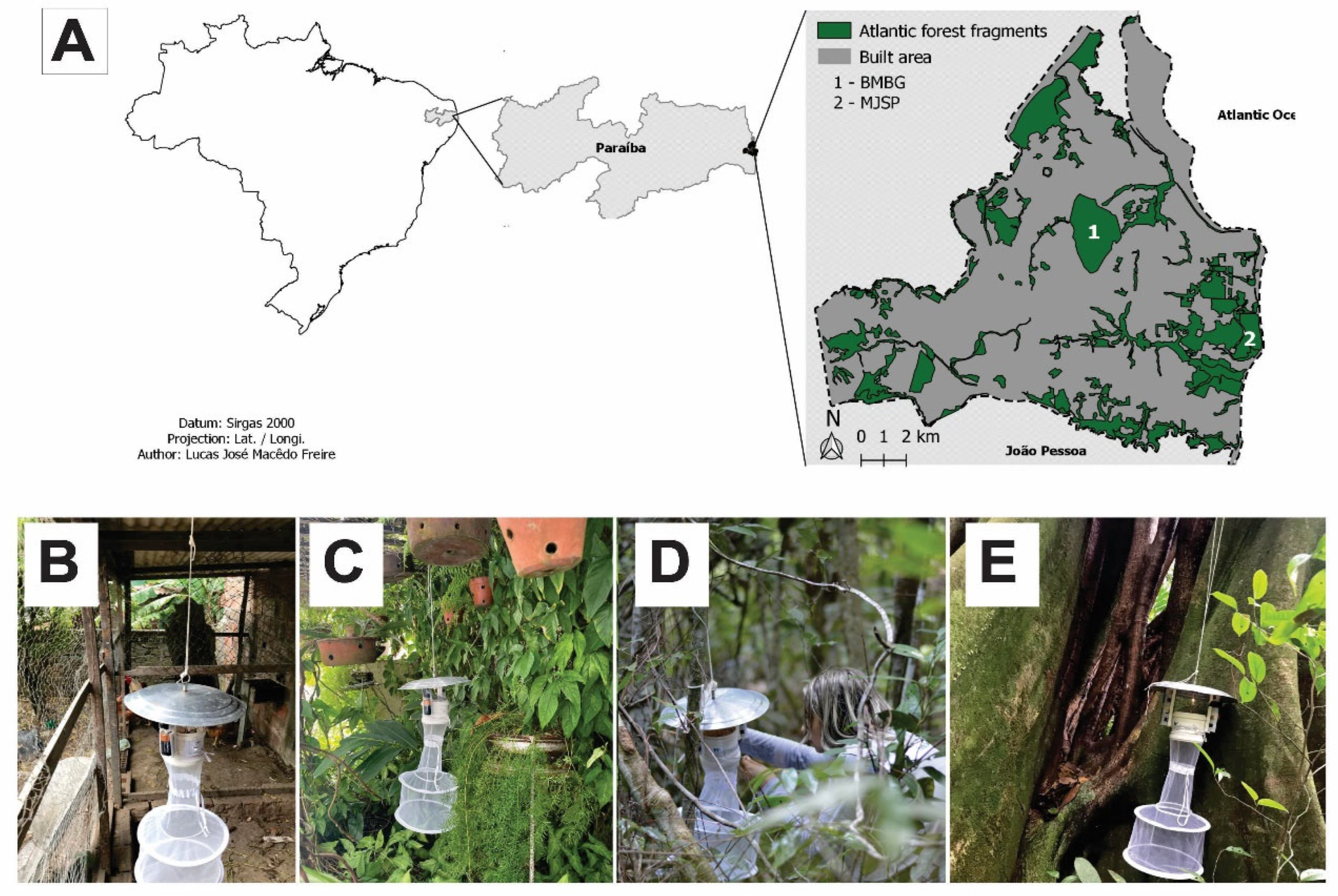 Insects 13 01156 g001