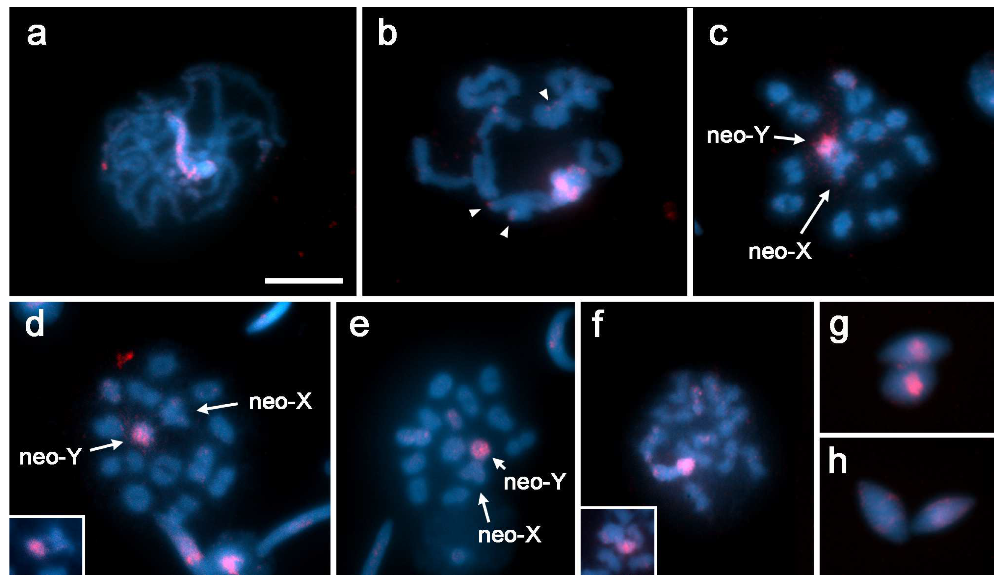 Insects 13 01159 g003