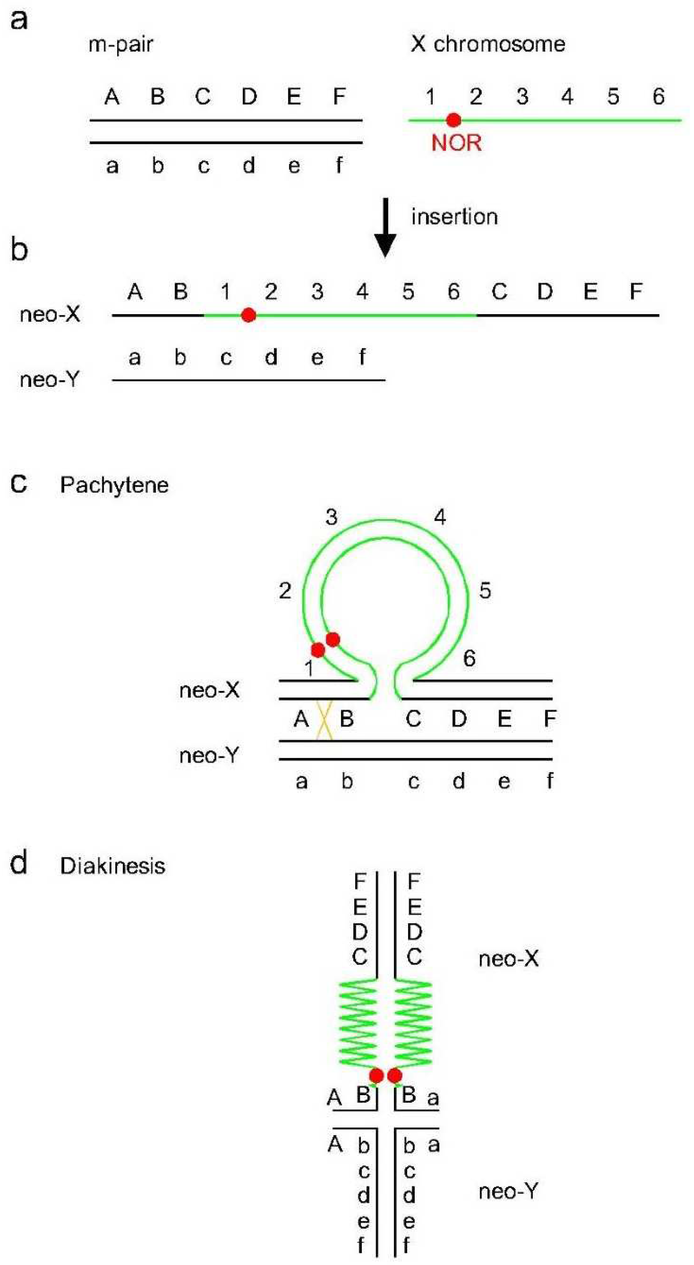 Insects 13 01159 g004