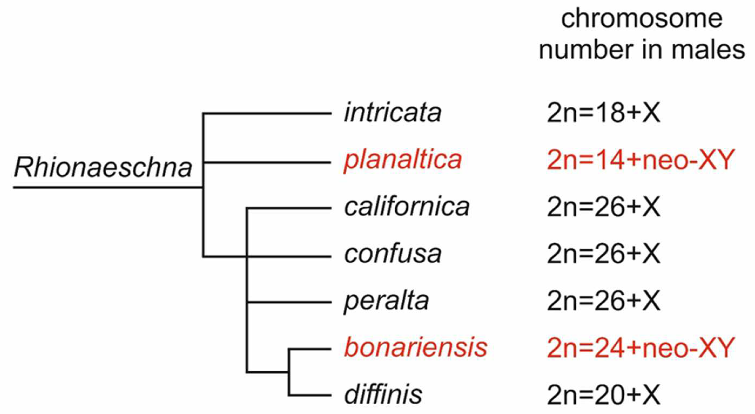Insects 13 01159 g005
