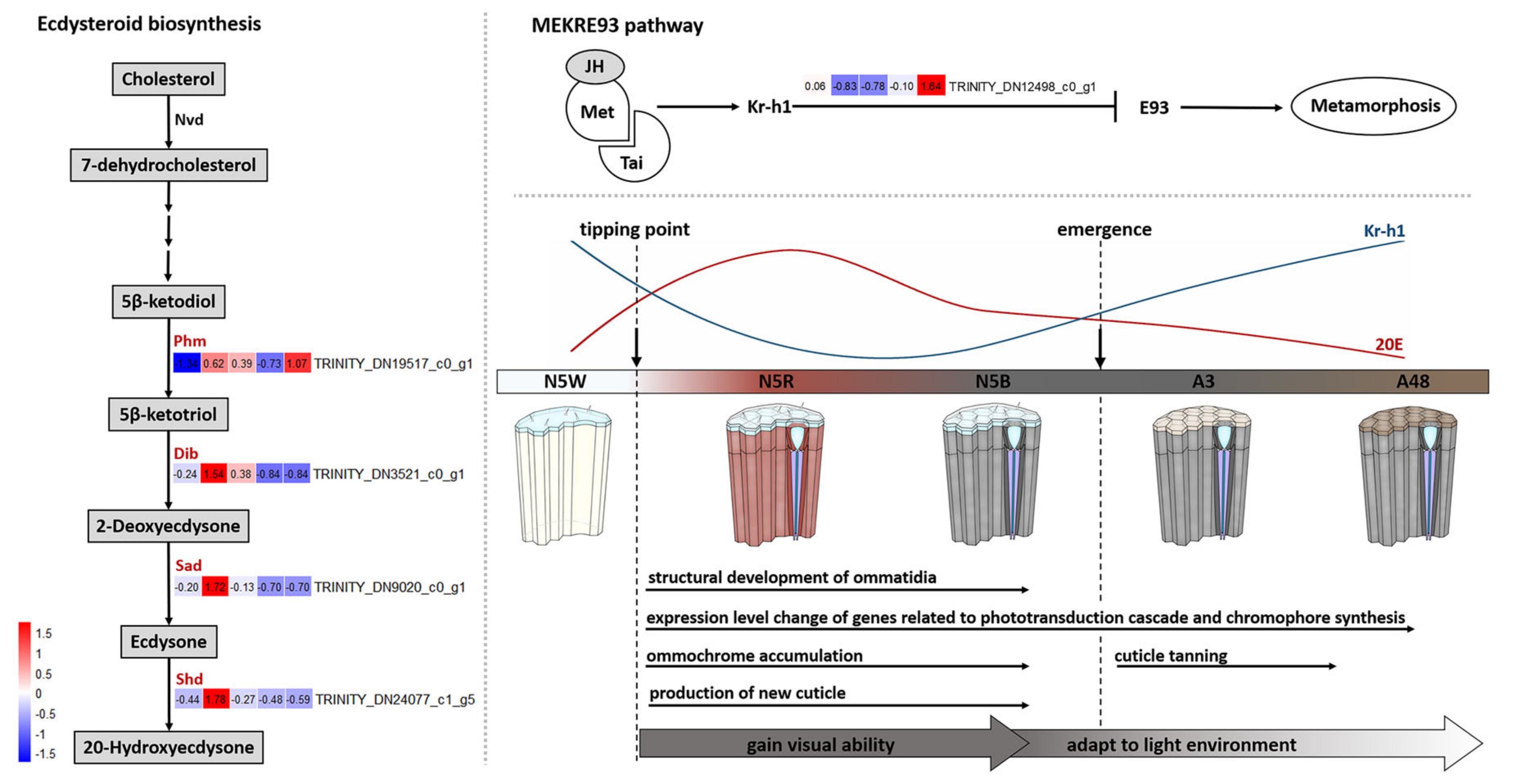 Insects 13 01170 g007 Insects 13 01170 g007