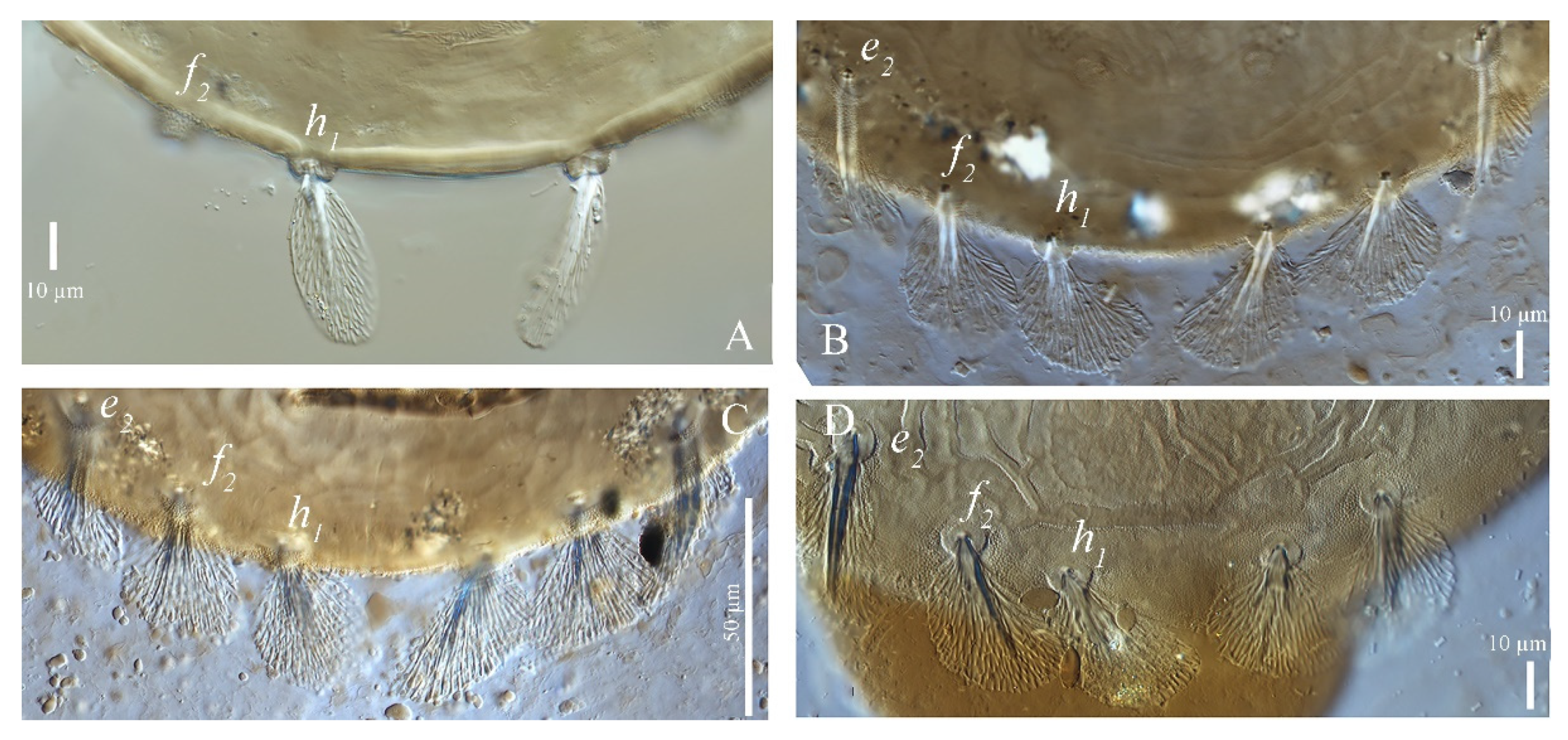 Insects 13 01176 g002