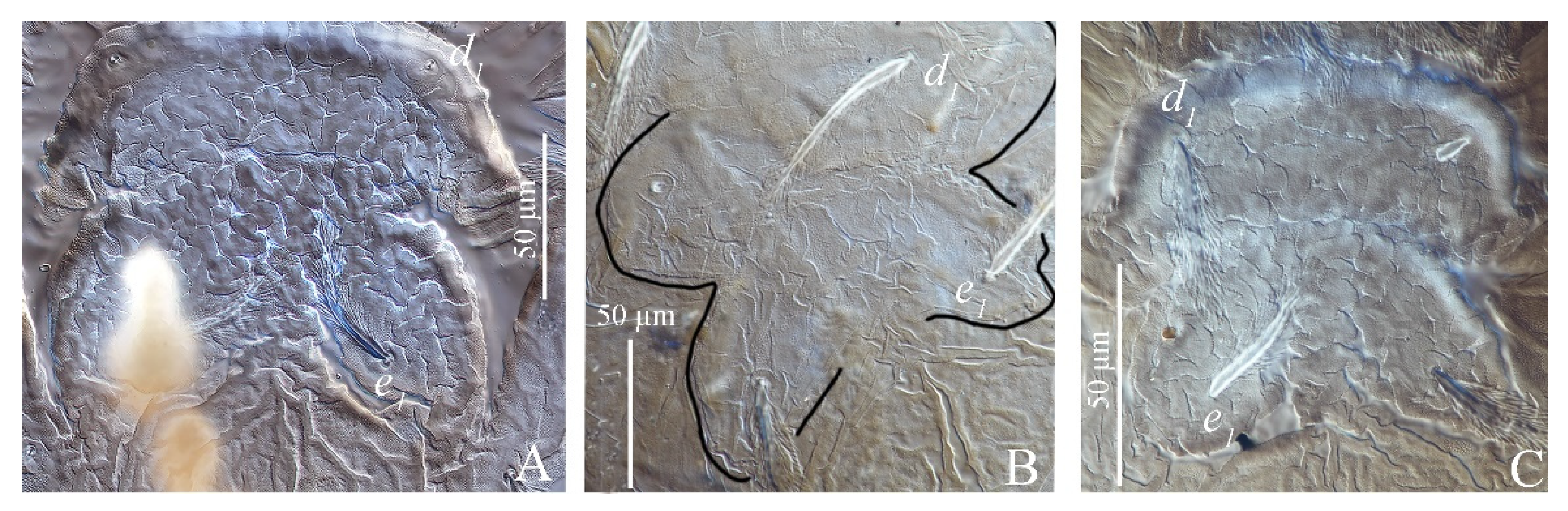 Insects 13 01176 g004