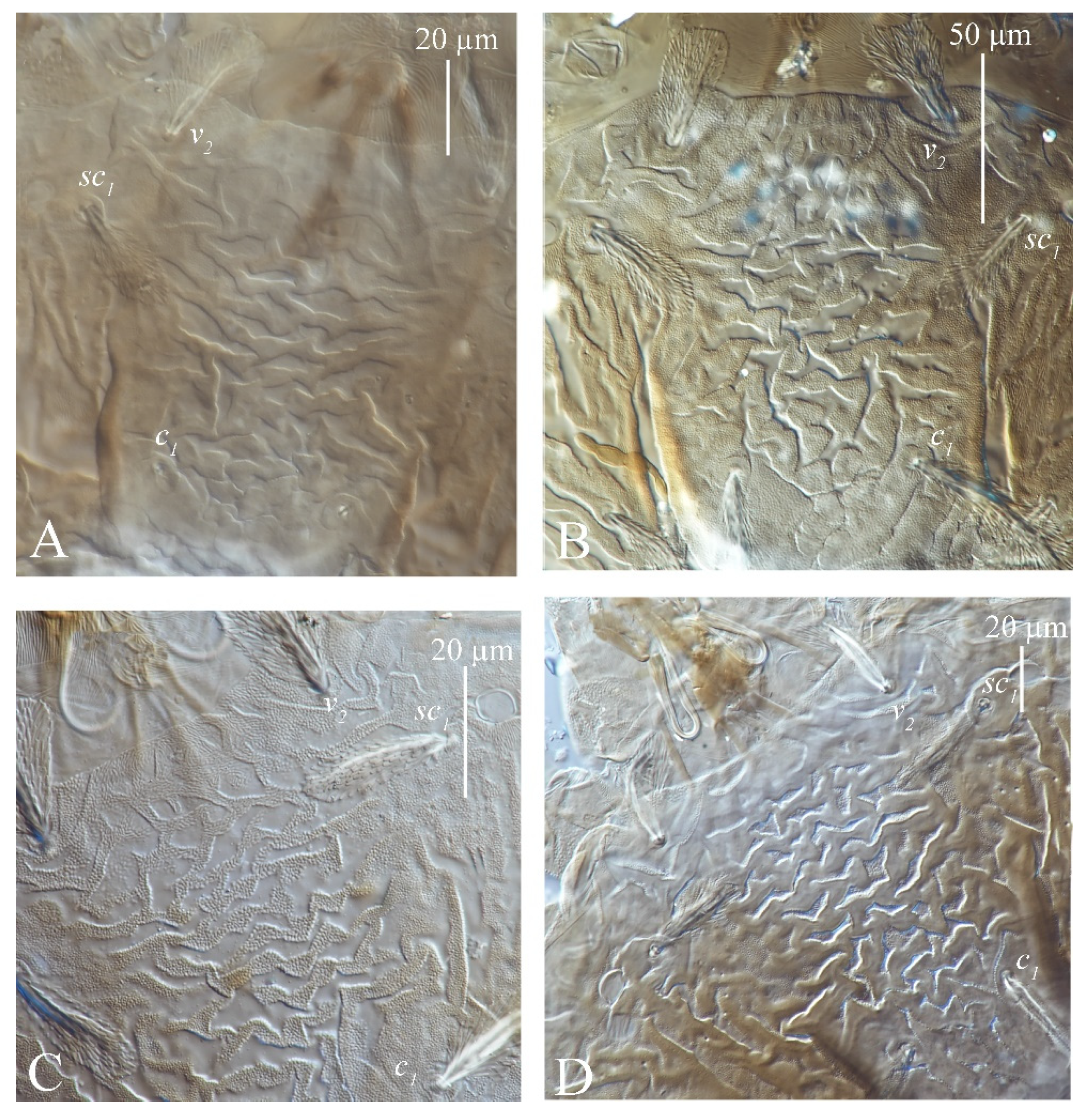 Insects 13 01176 g005