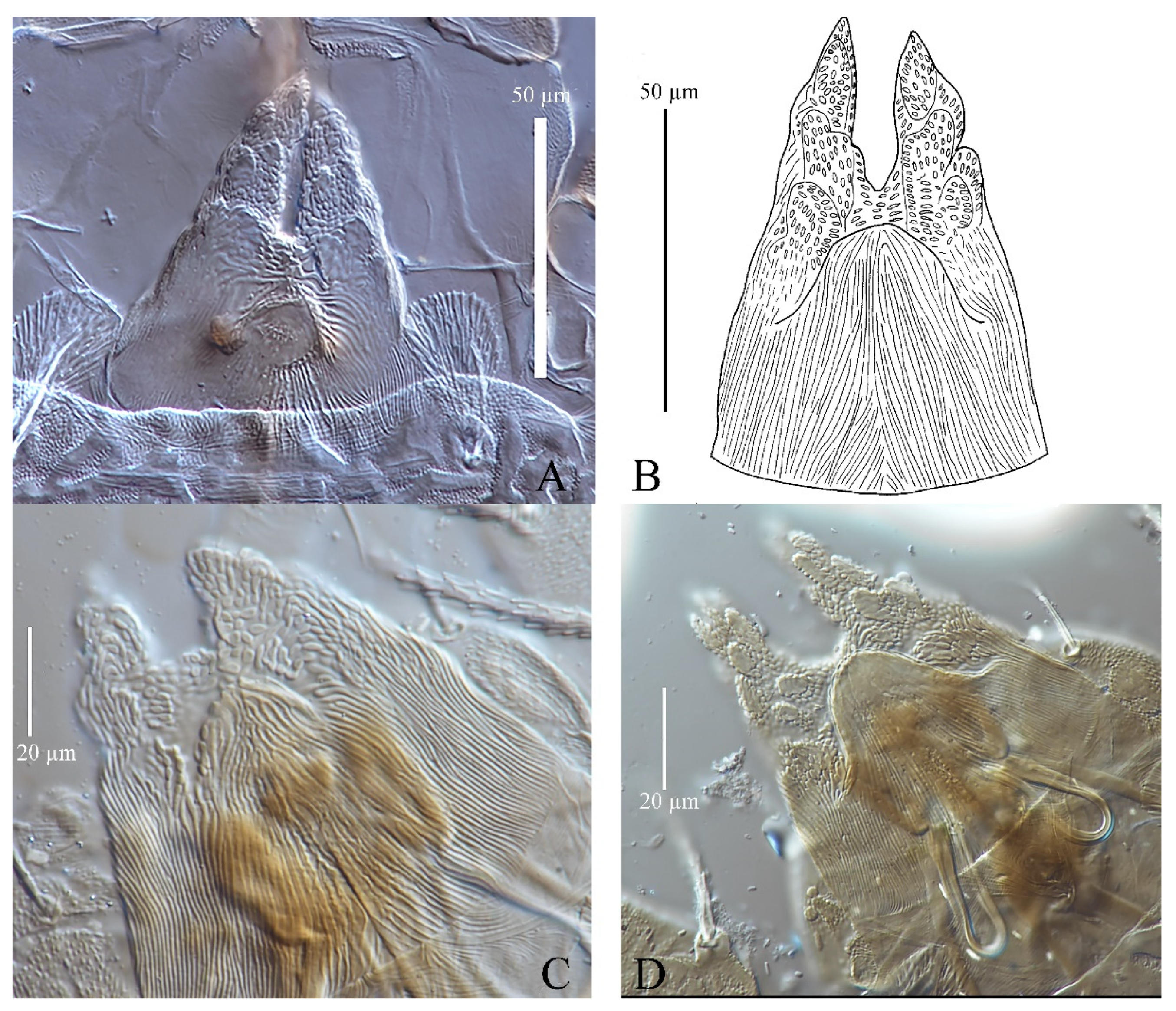 Insects 13 01176 g006