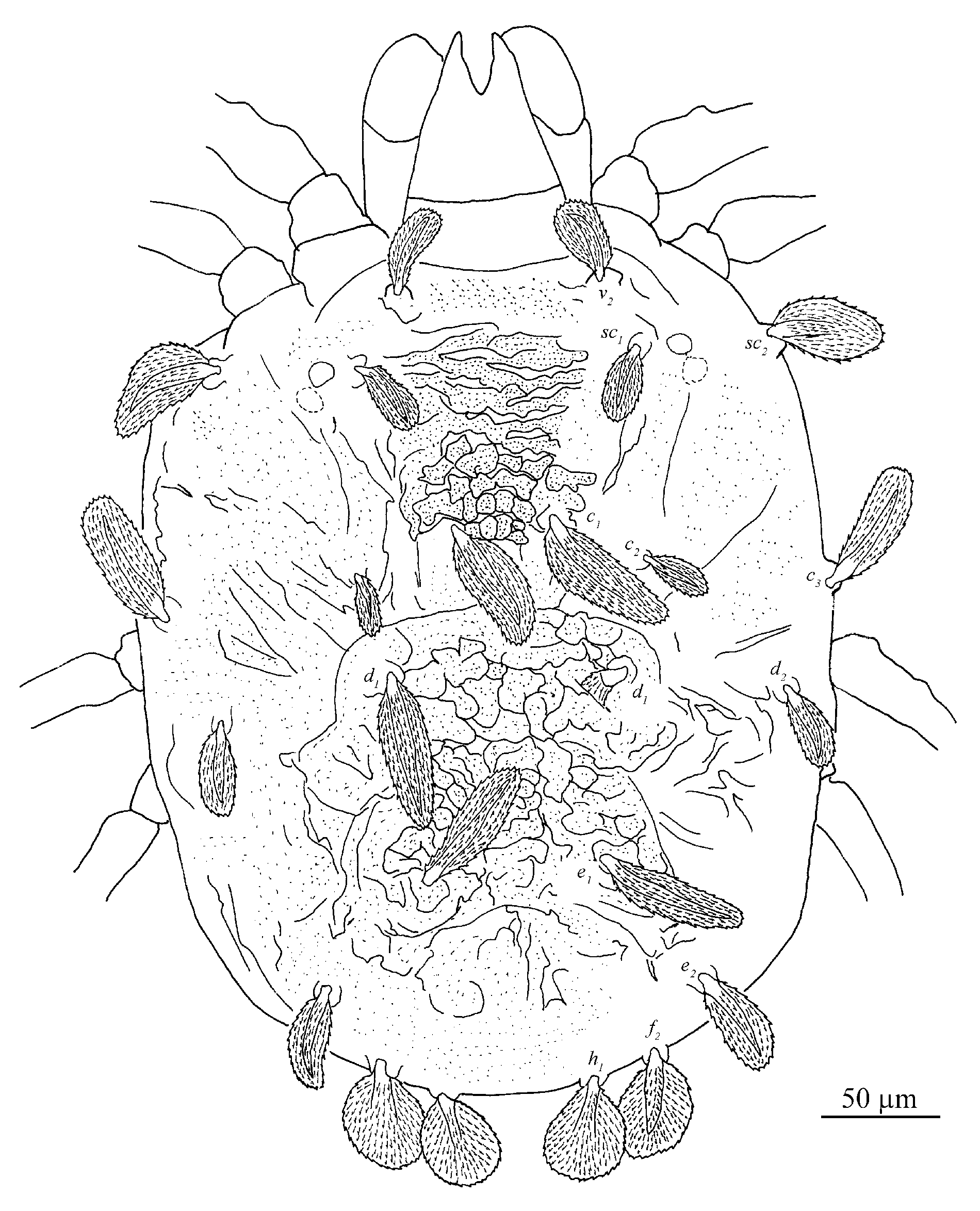 Insects 13 01176 g008