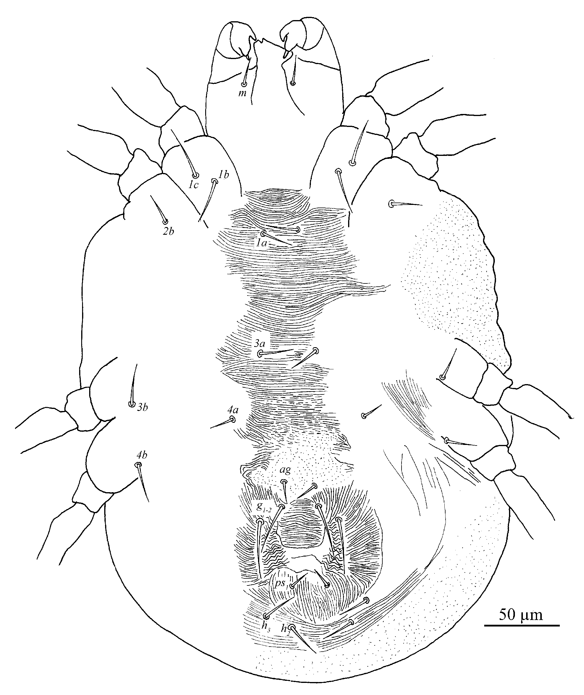 Insects 13 01176 g009