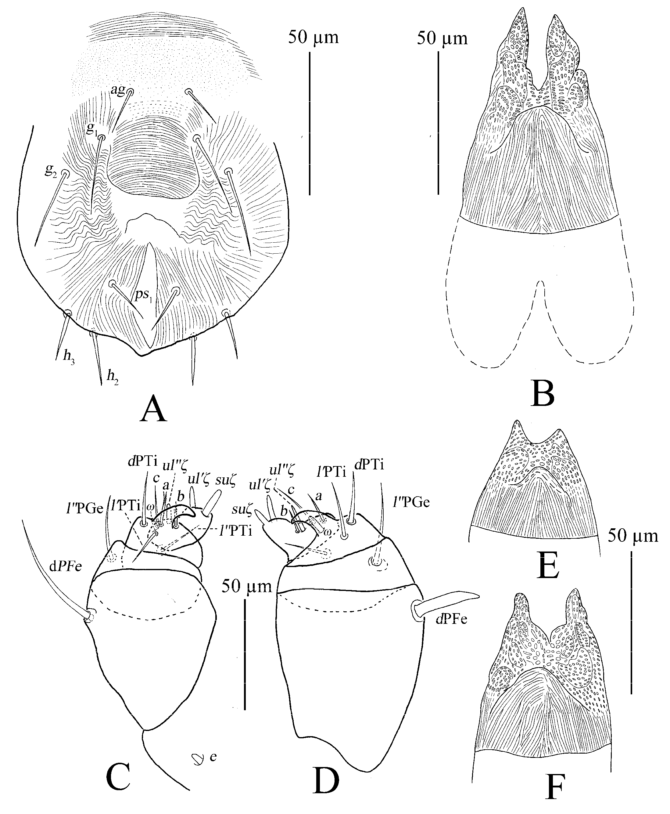 Insects 13 01176 g010