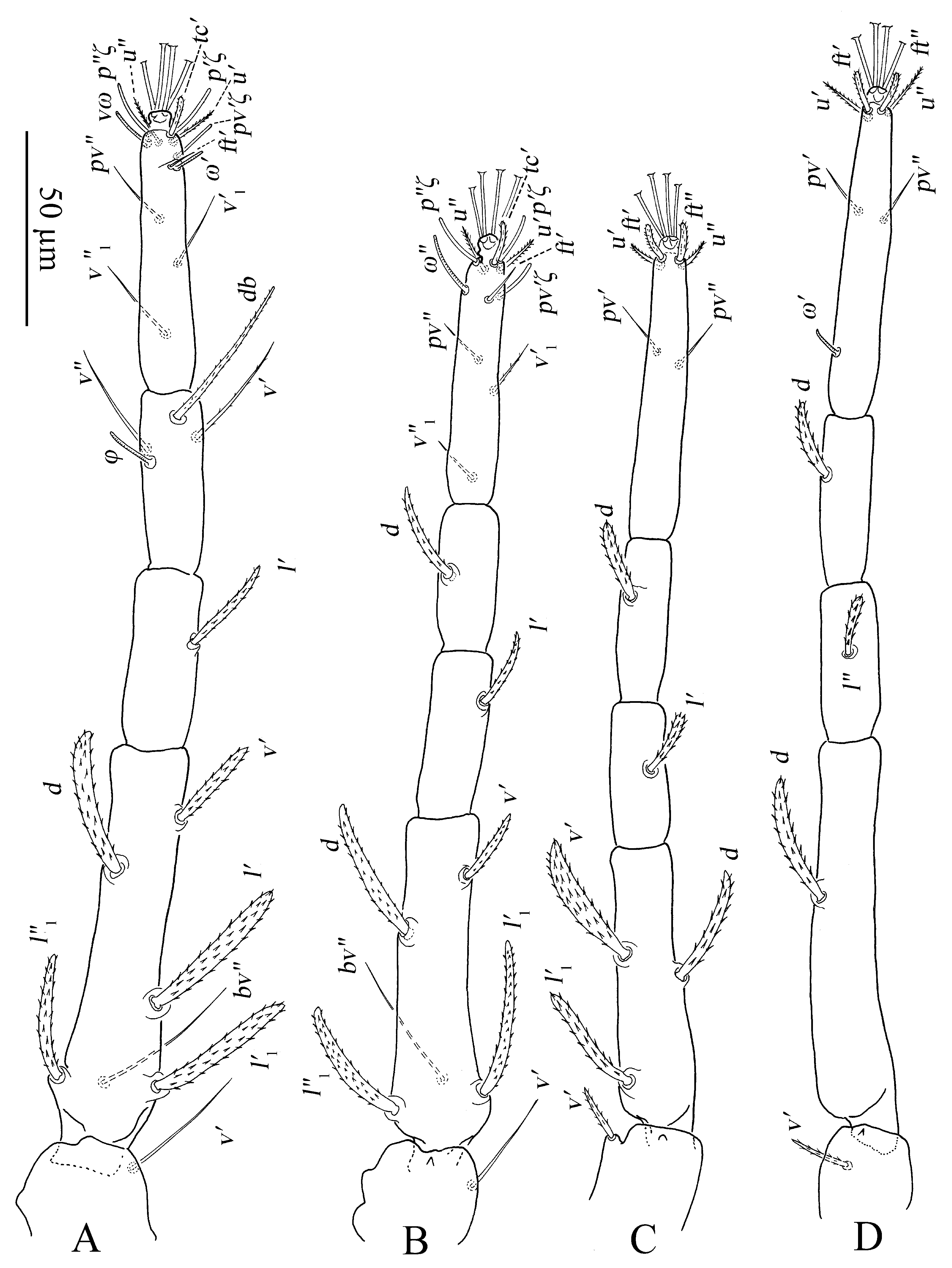 Insects 13 01176 g011