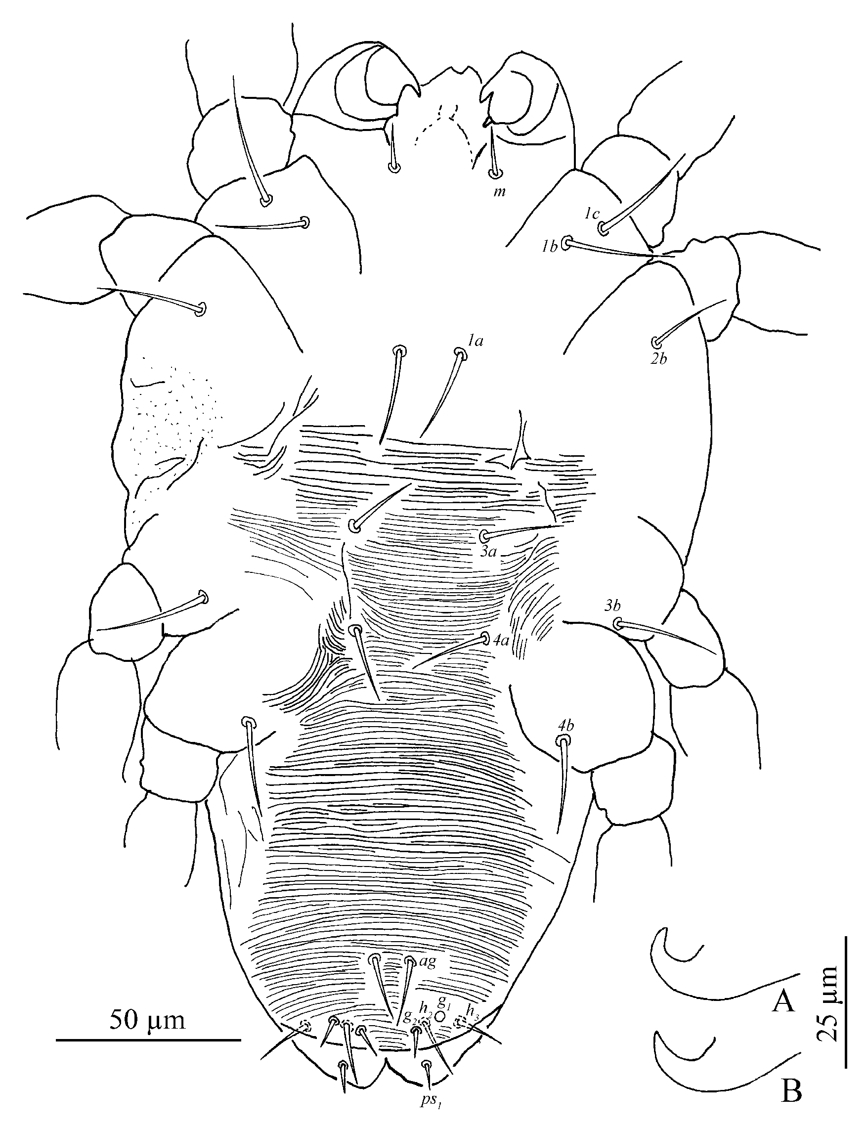 Insects 13 01176 g013