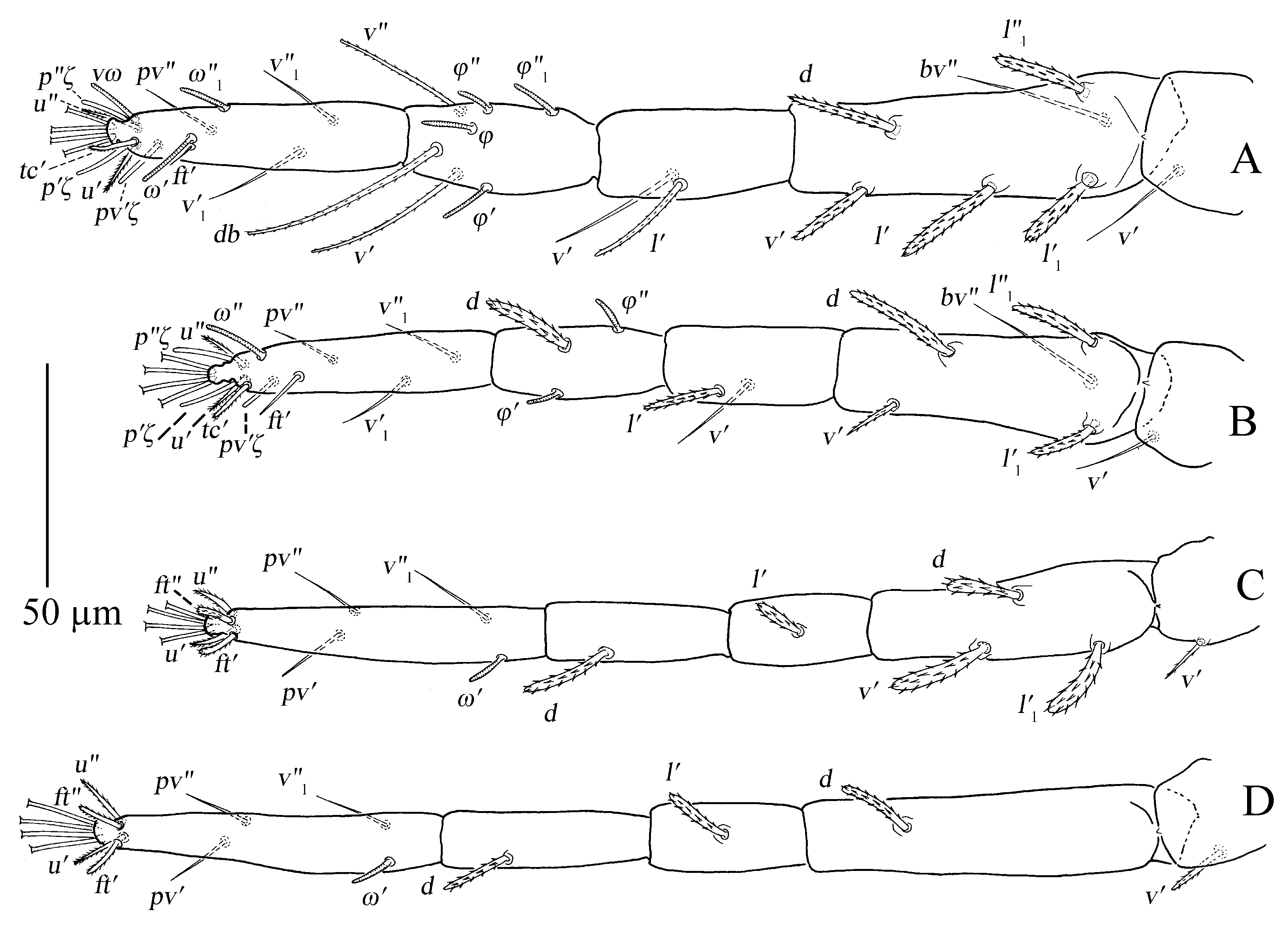 Insects 13 01176 g014