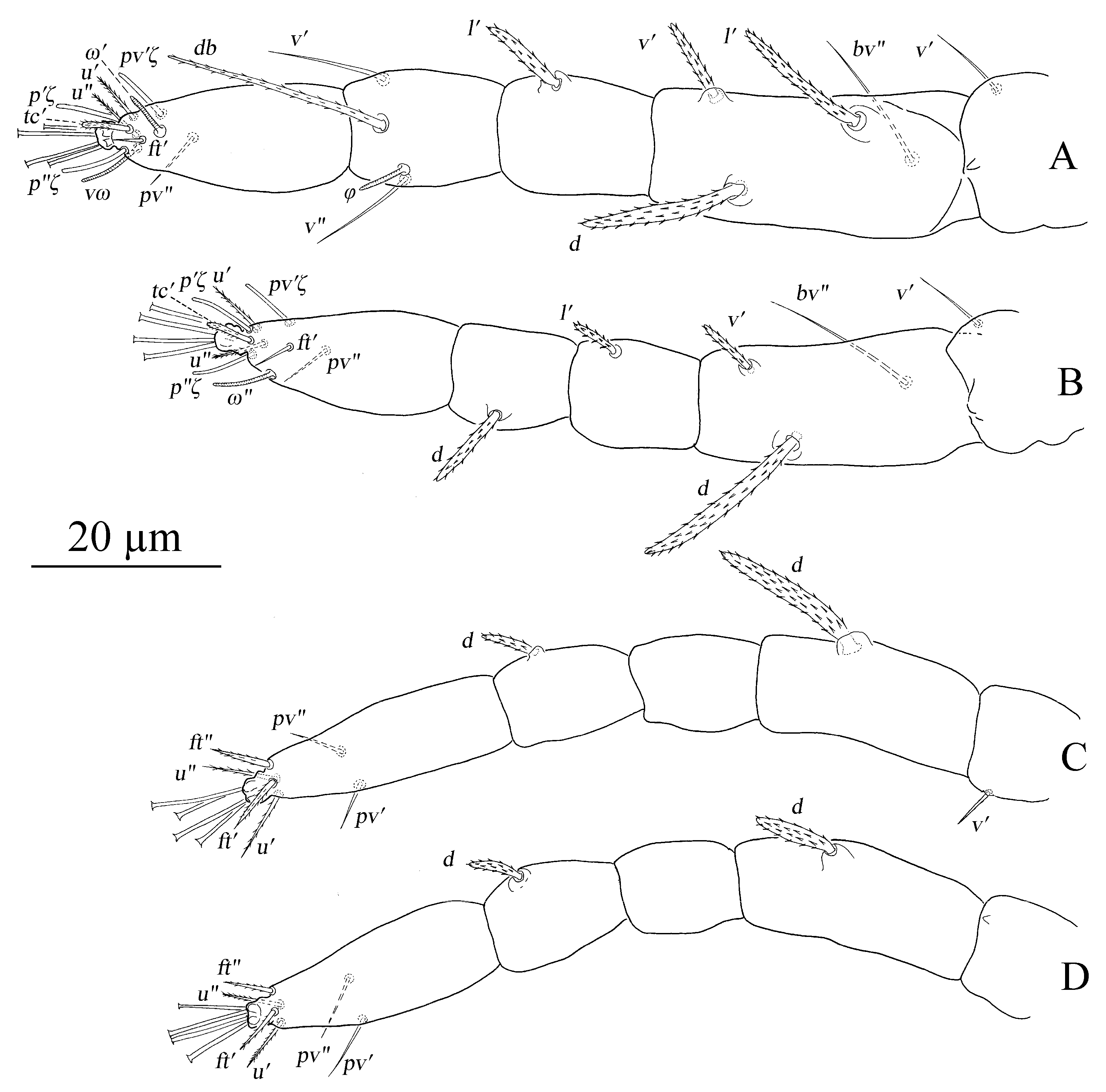 Insects 13 01176 g016