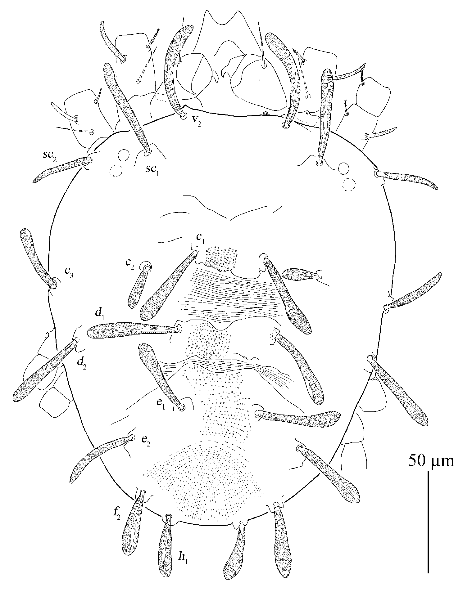 Insects 13 01176 g017