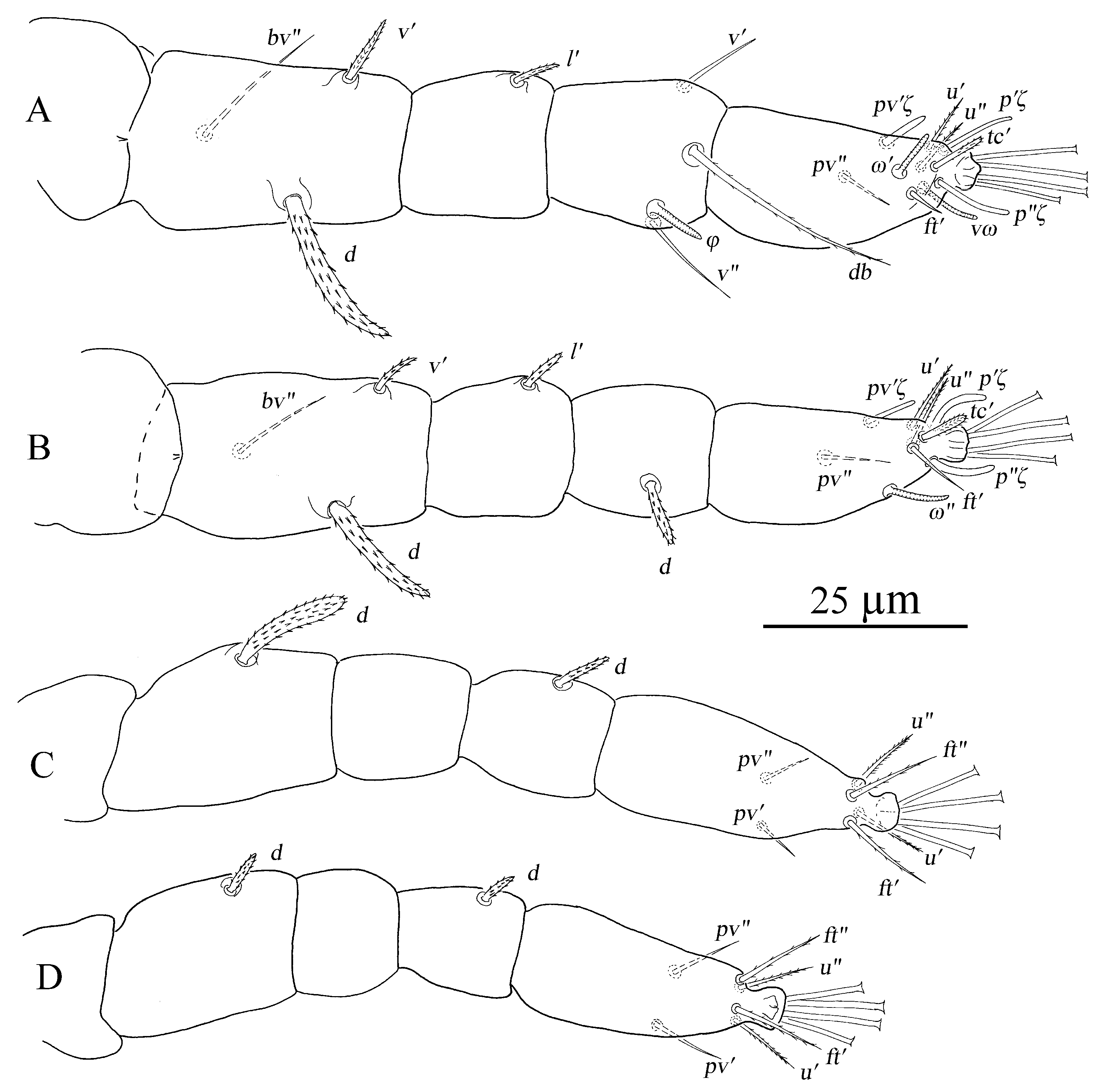 Insects 13 01176 g019