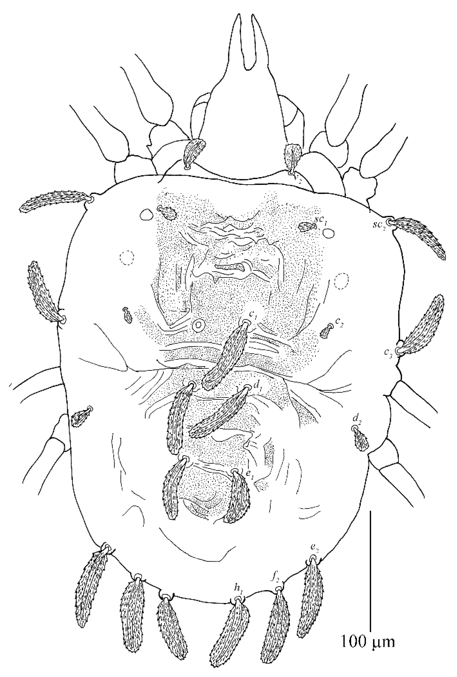 Insects 13 01176 g020