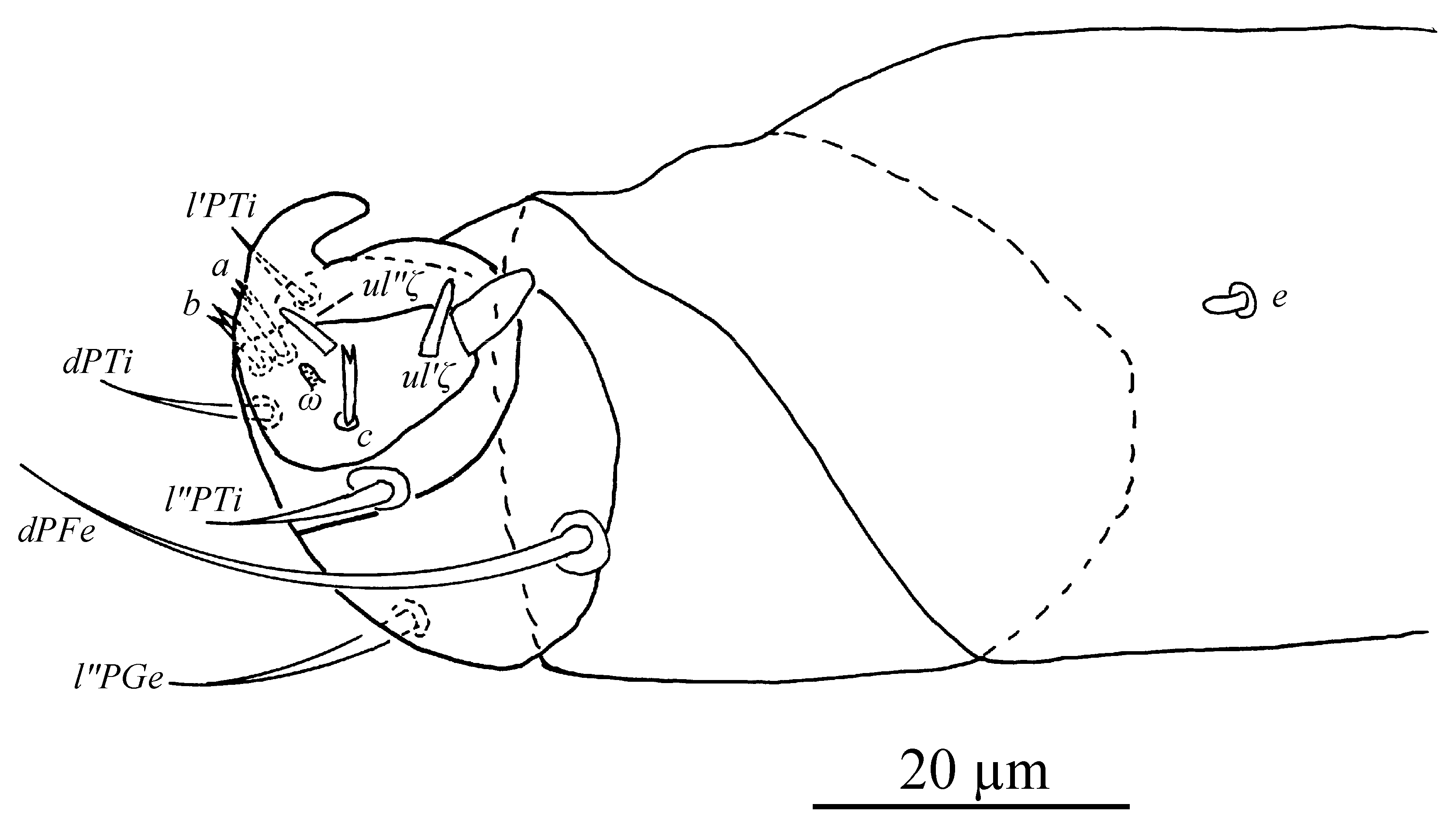 Insects 13 01176 g025