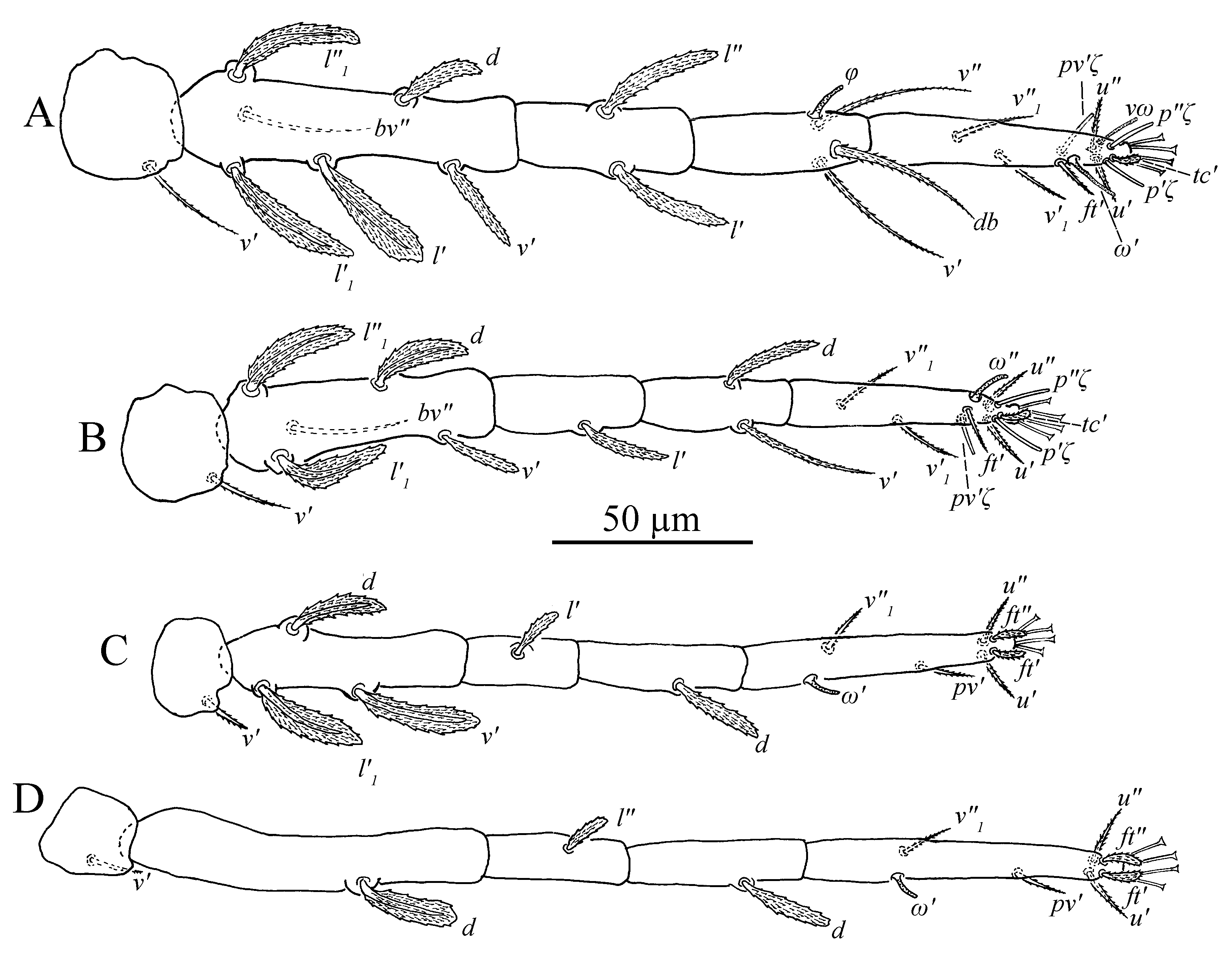 Insects 13 01176 g026