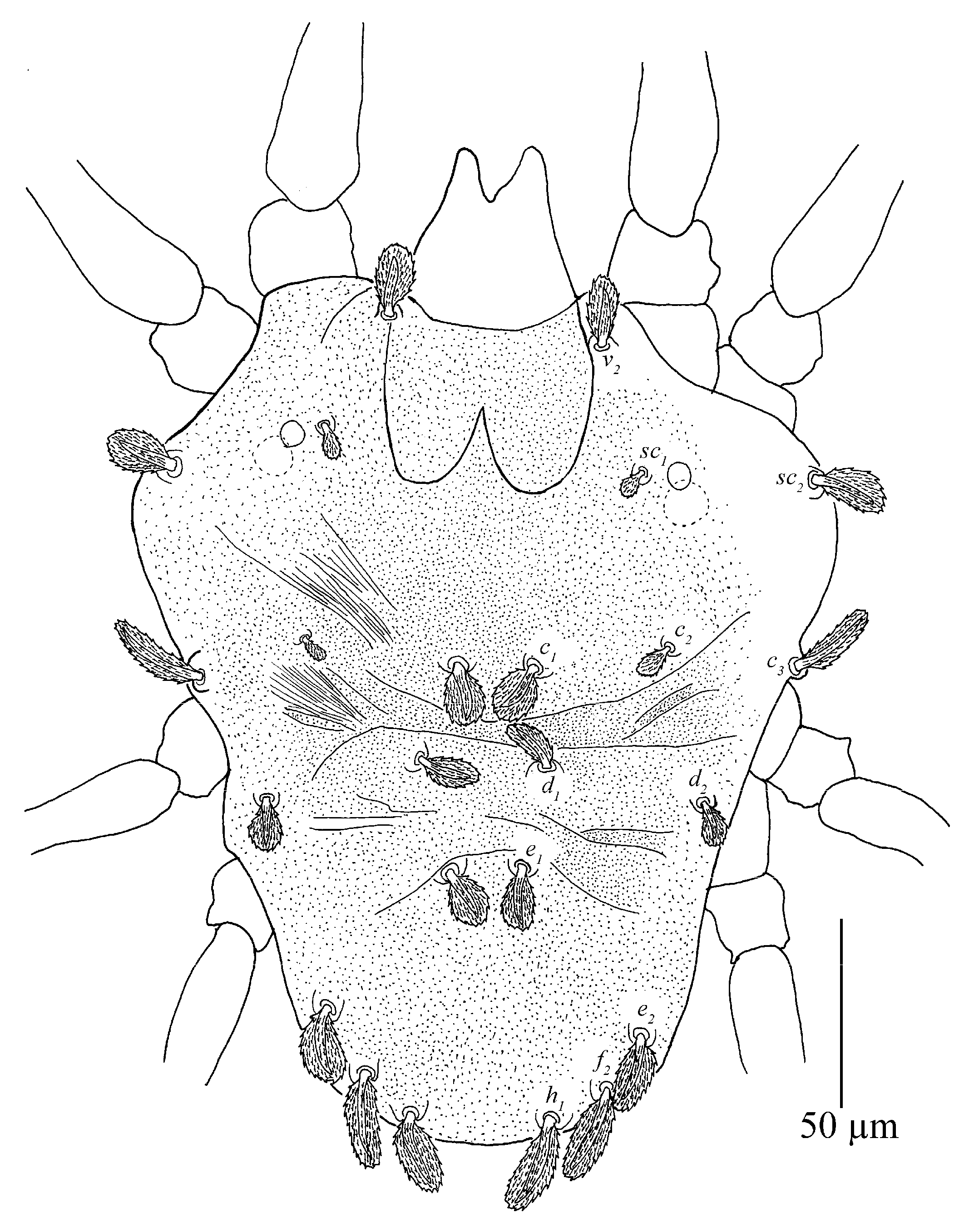 Insects 13 01176 g027