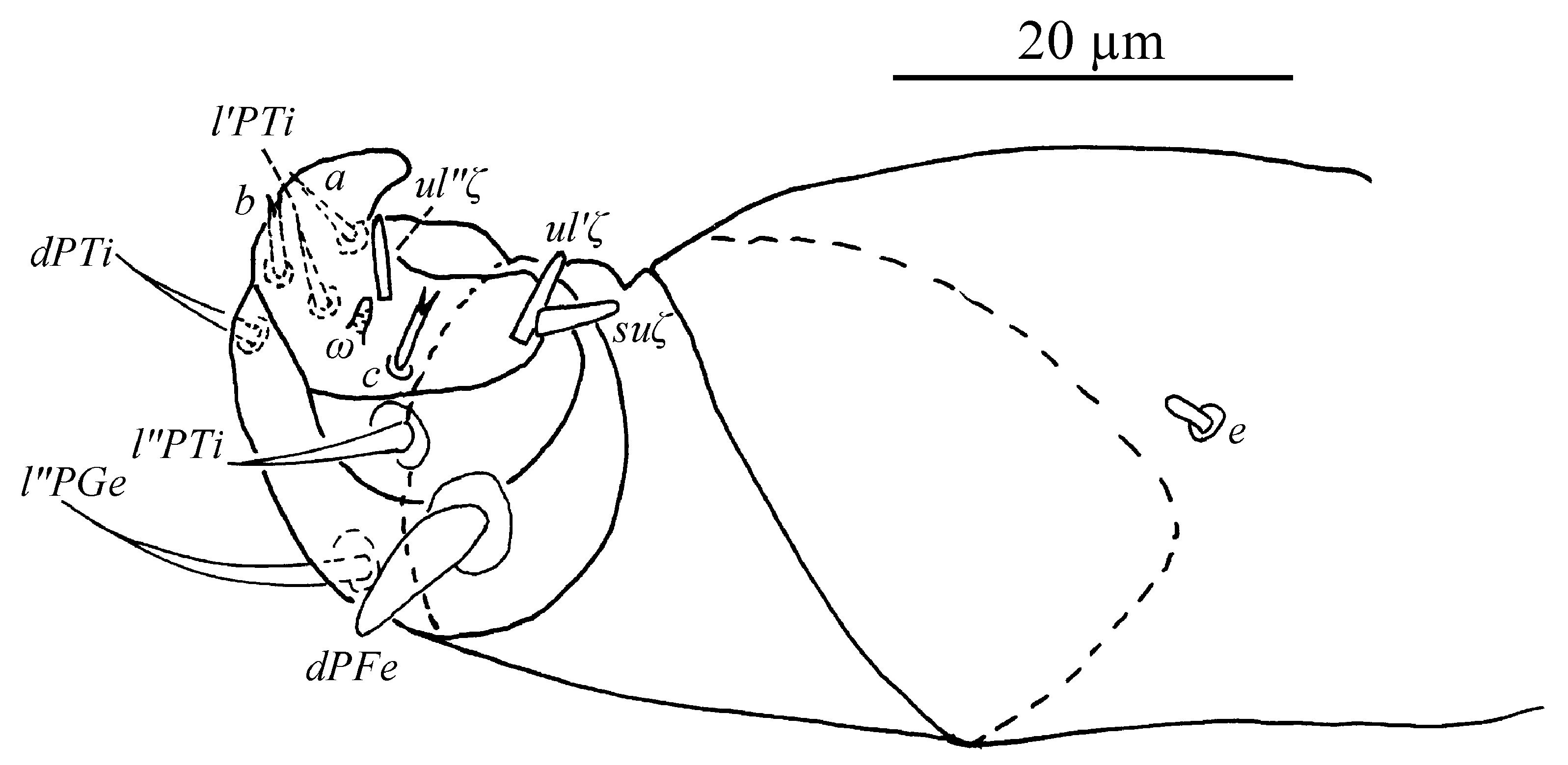 Insects 13 01176 g031