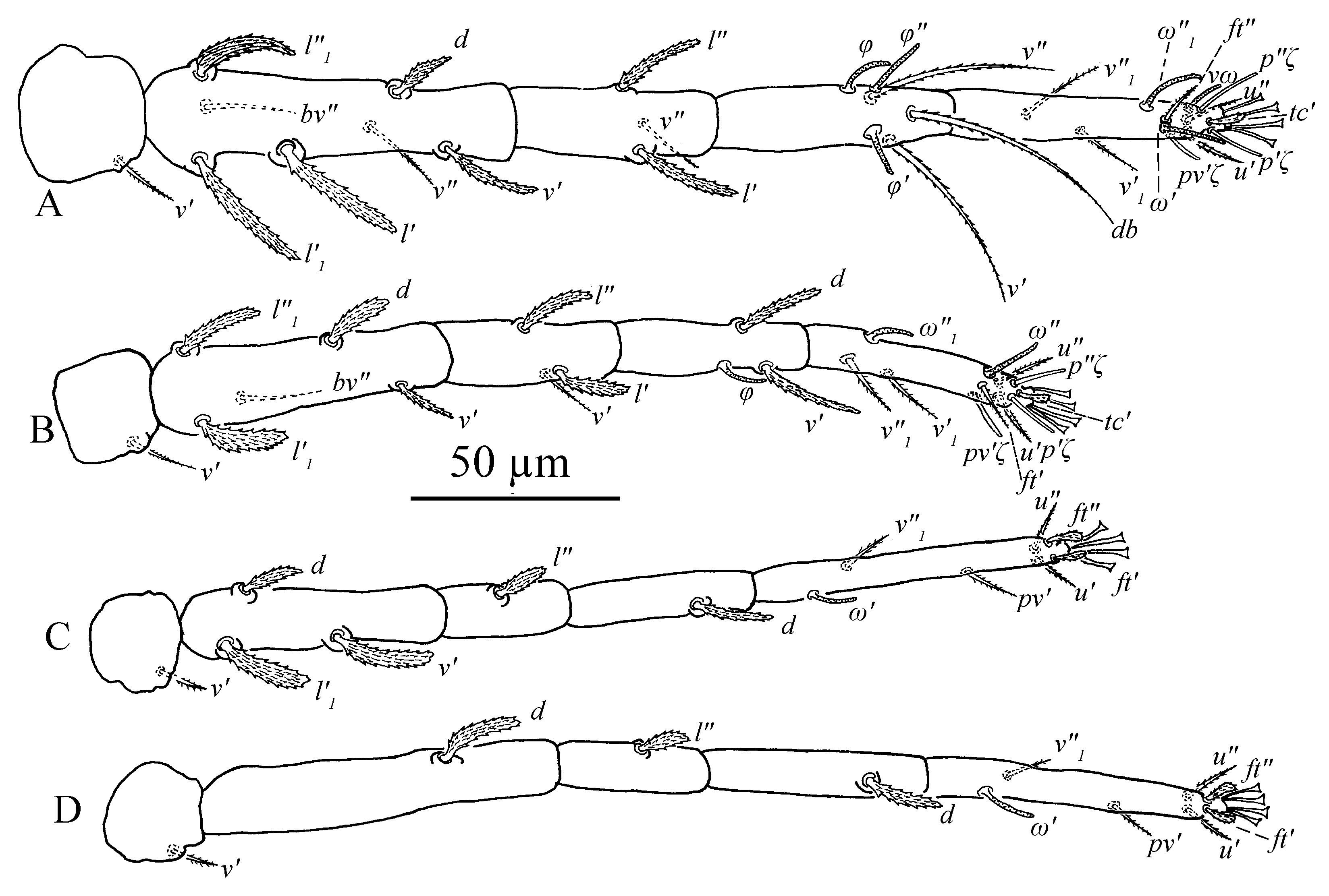 Insects 13 01176 g032