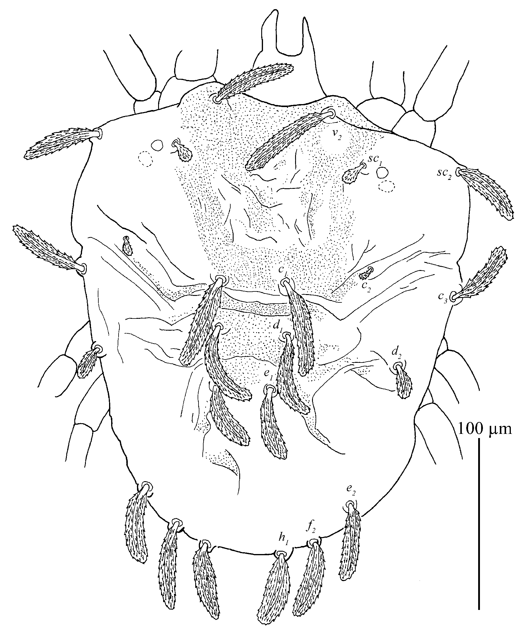 Insects 13 01176 g033