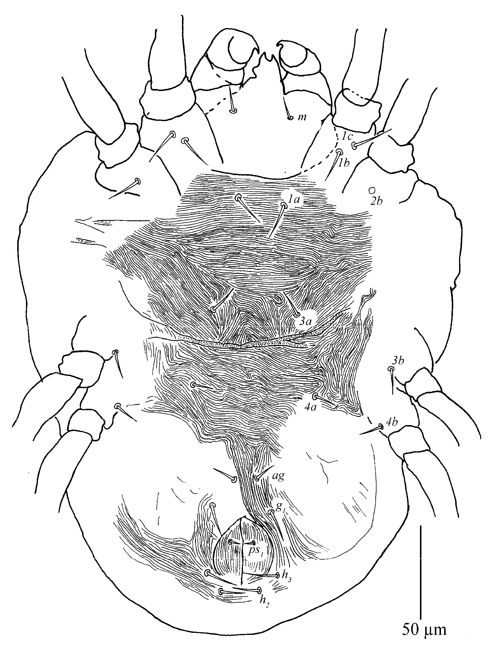 Insects 13 01176 g034