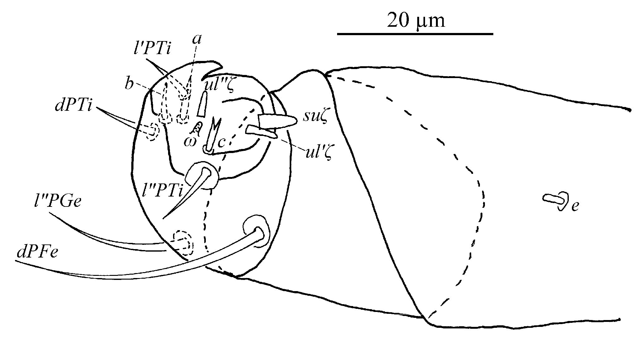 Insects 13 01176 g035