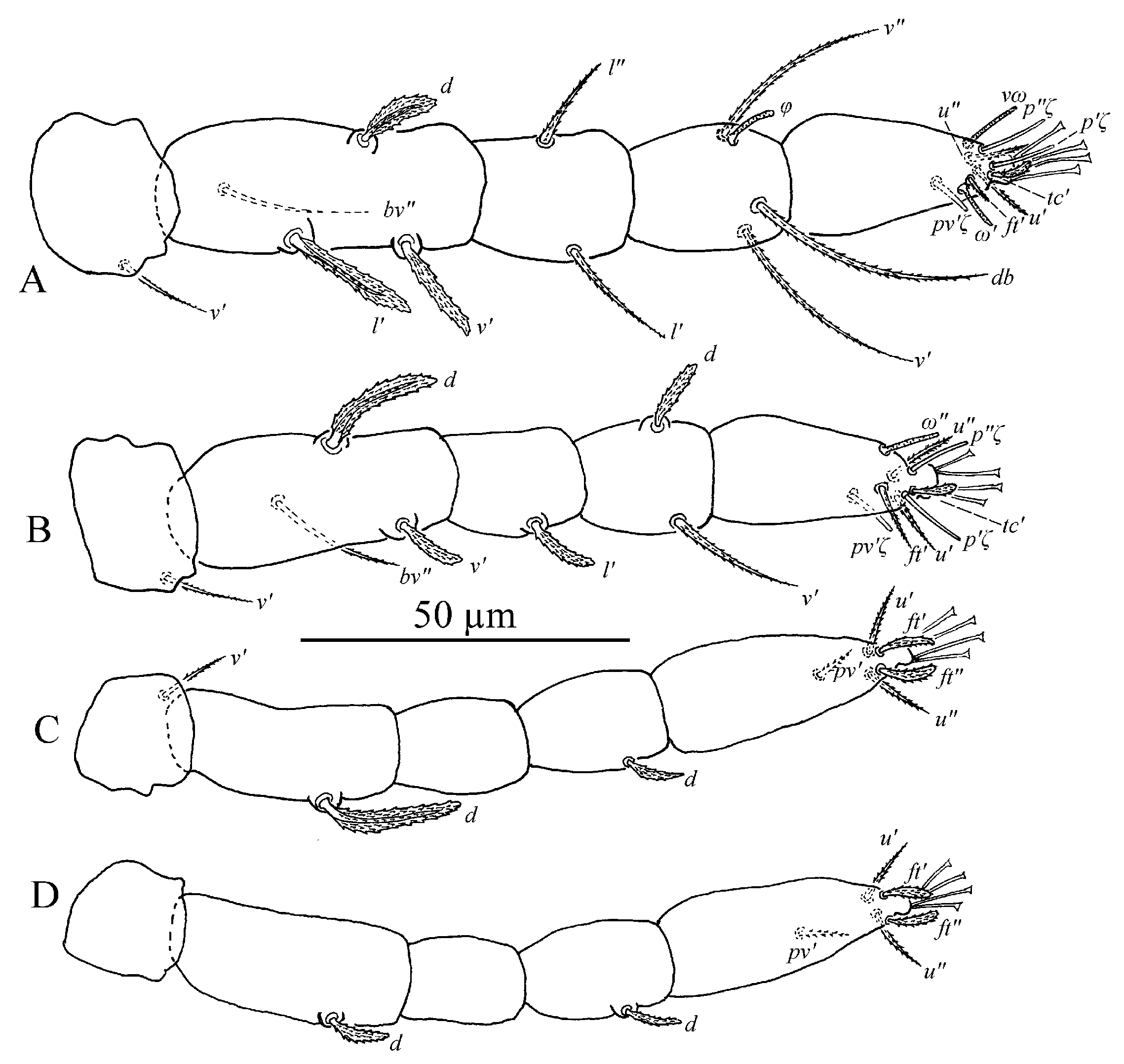 Insects 13 01176 g036