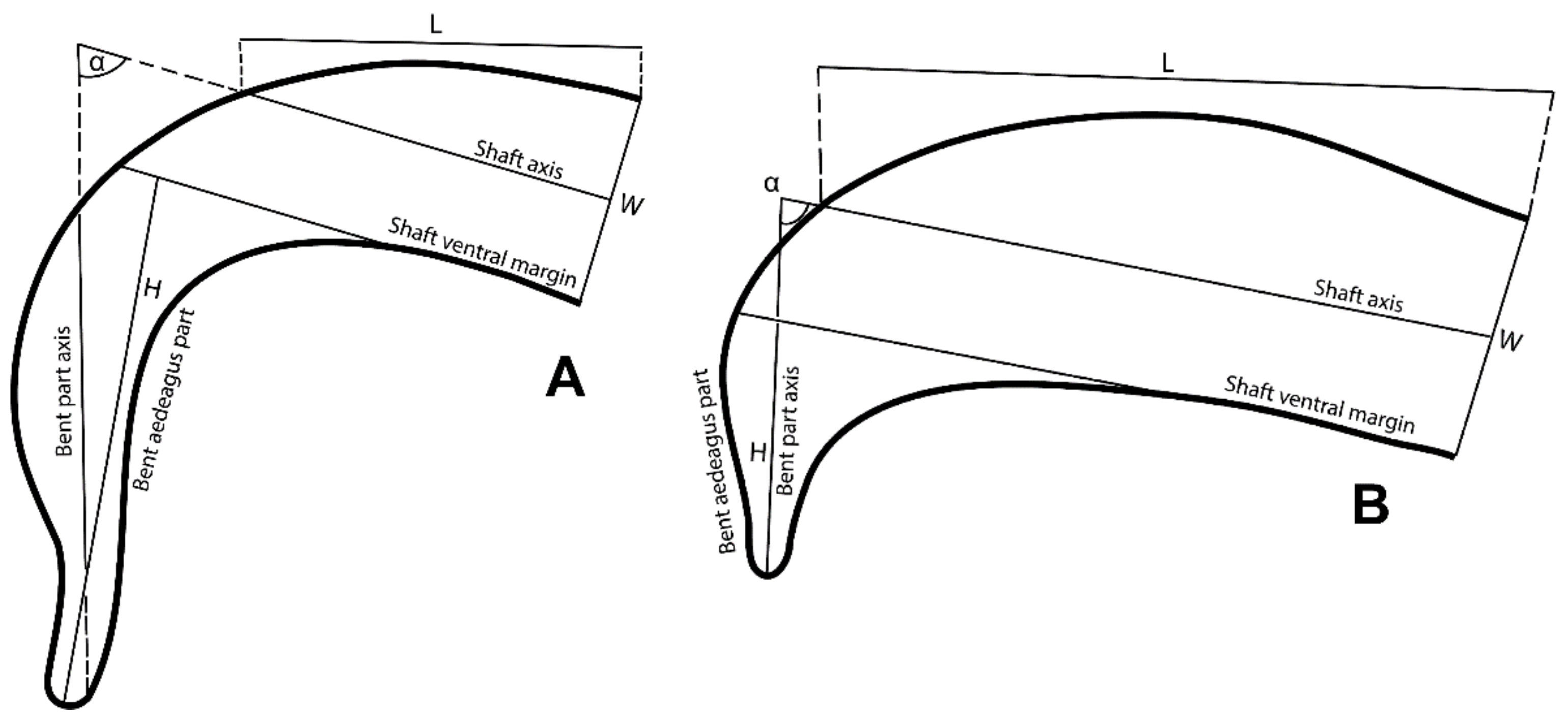 Insects 14 00003 g003